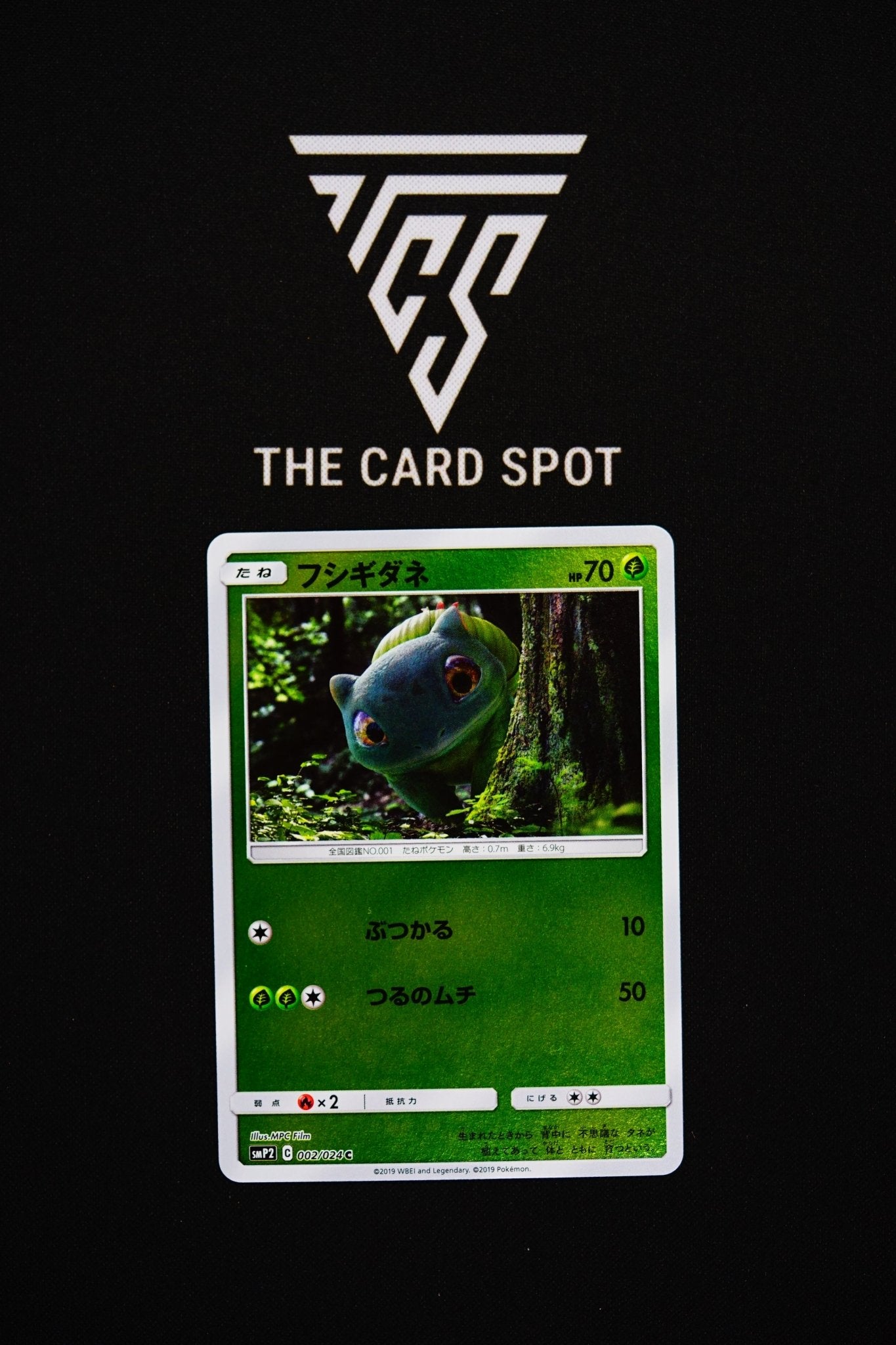 002/024 - Bulbasaur - Pokemon TCG - THE CARD SPOT PTY LTD.