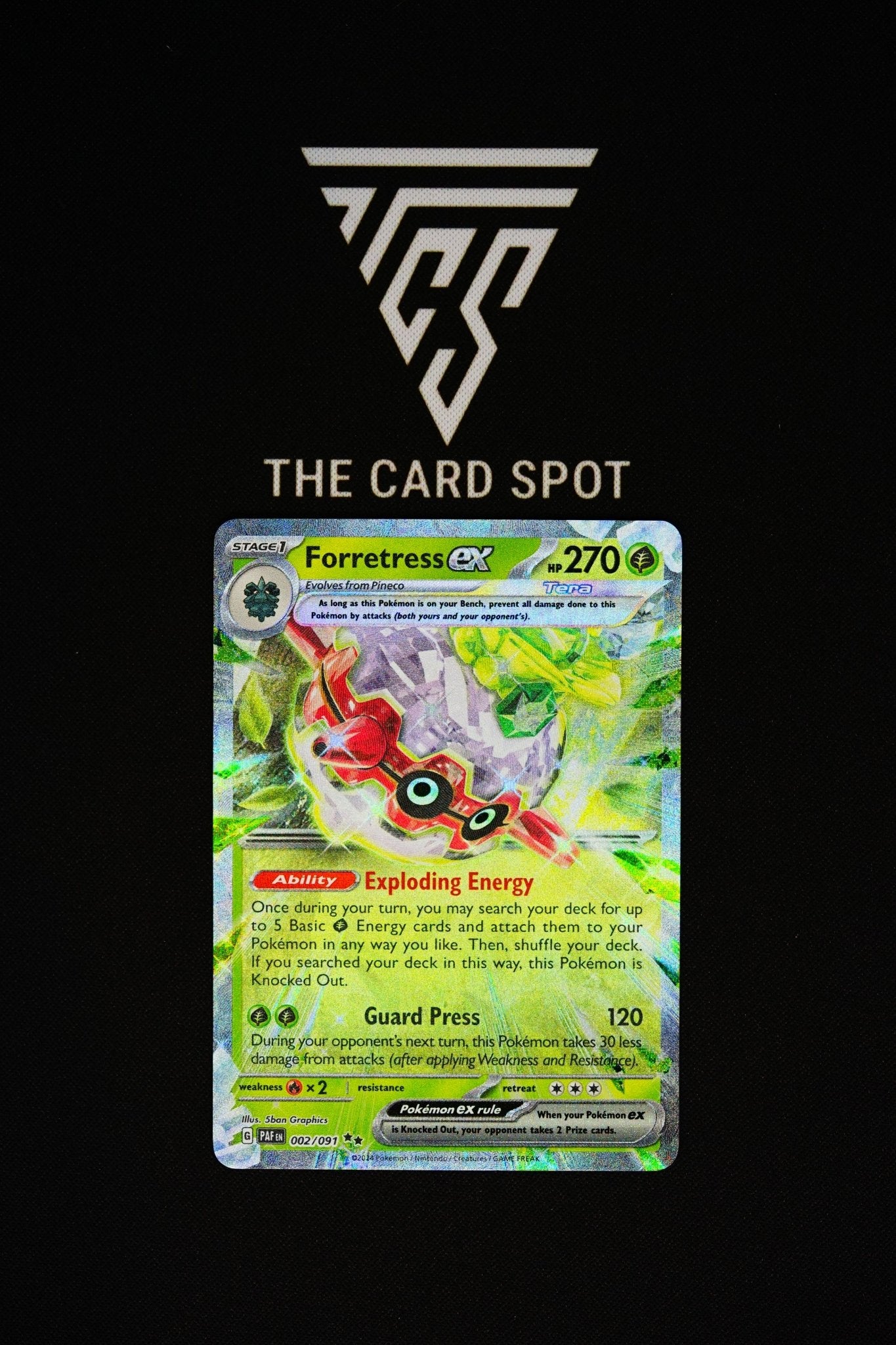 002/091 - Forretress ex