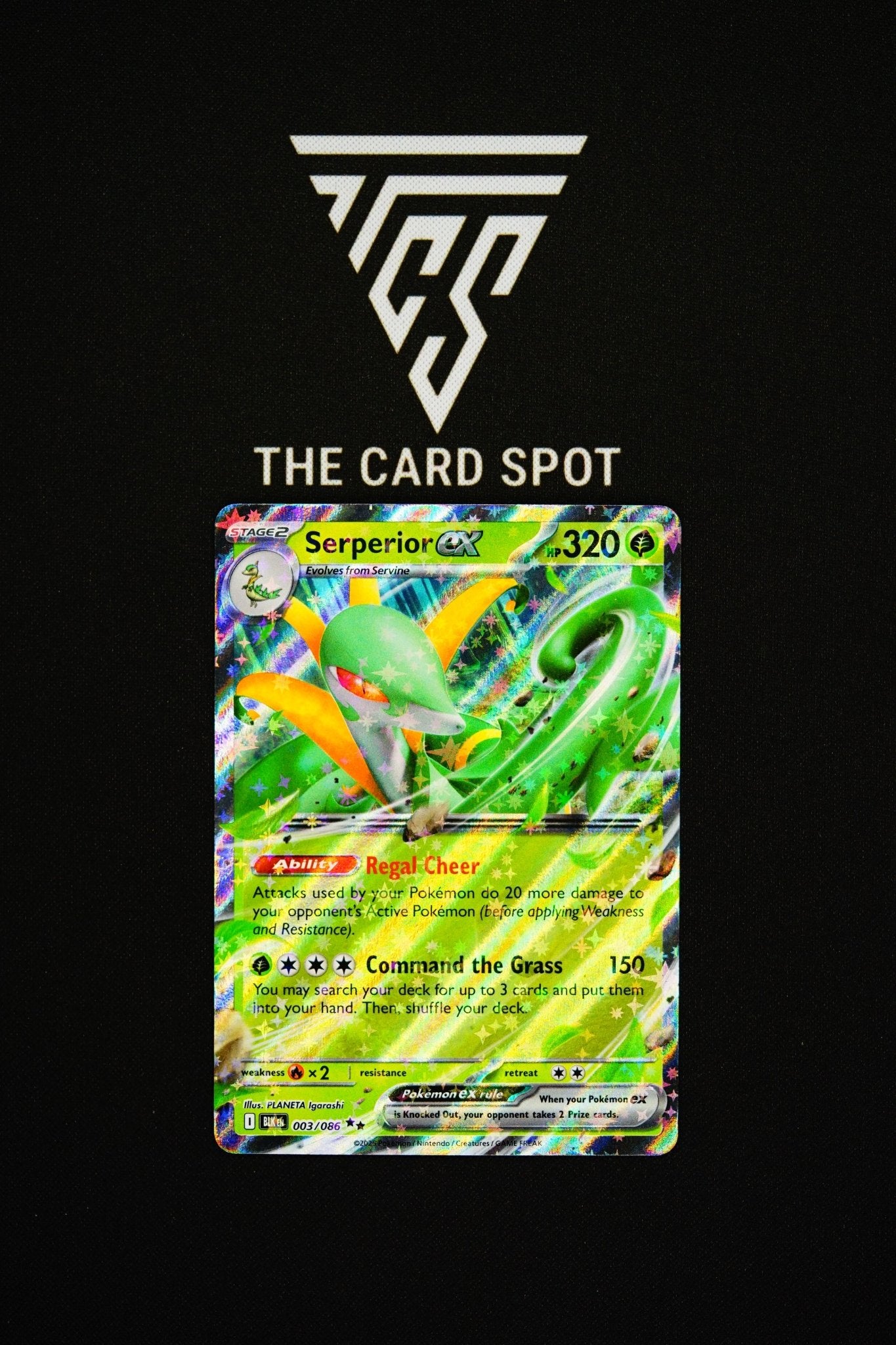003/086 Serperior ex - Pokemon TCG - THE CARD SPOT PTY LTD.