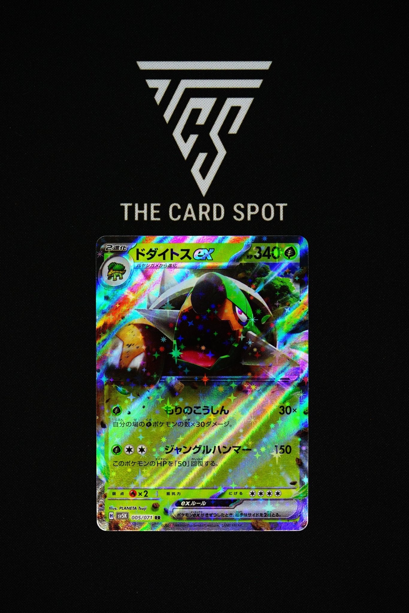 005/071 Torterra Ex