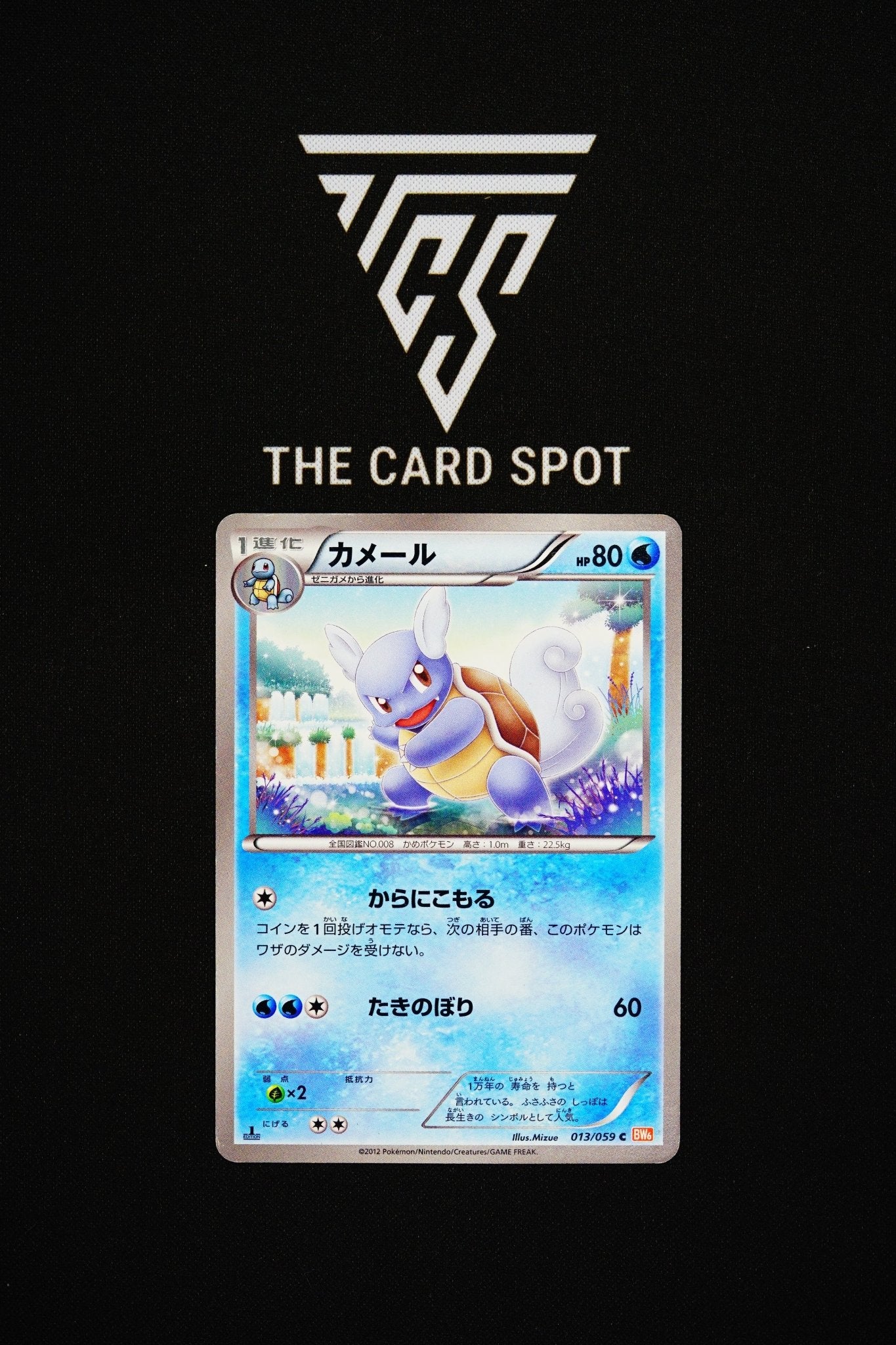 013/059 Wartortle - Pokemon TCG - THE CARD SPOT PTY LTD.
