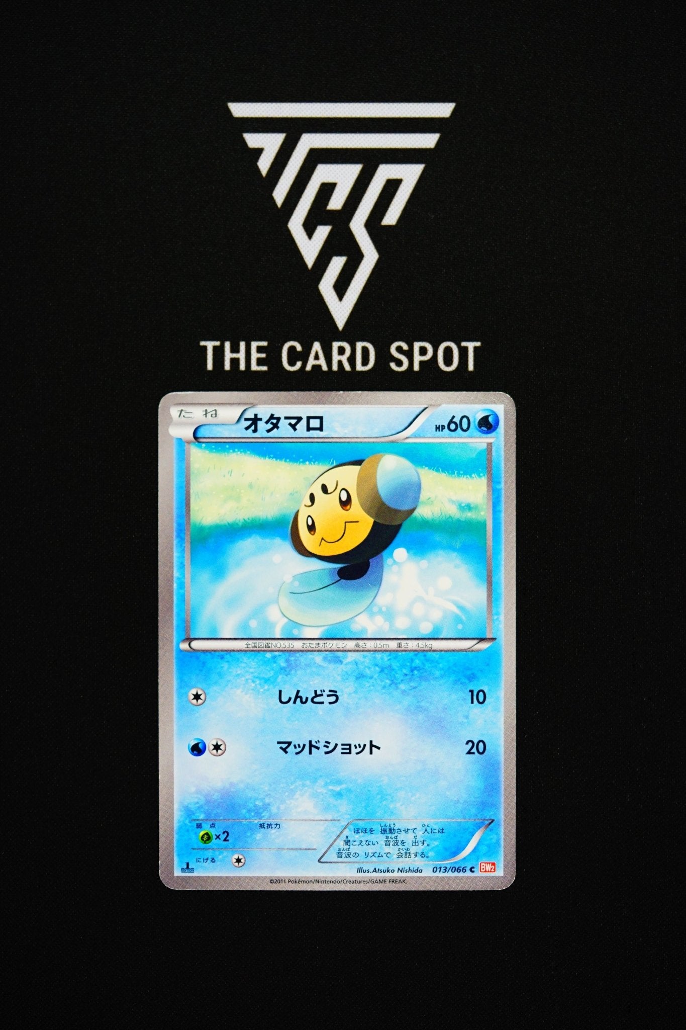 013/066 Tympole - Pokemon TCG  THE CARD SPOT PTY LTD.