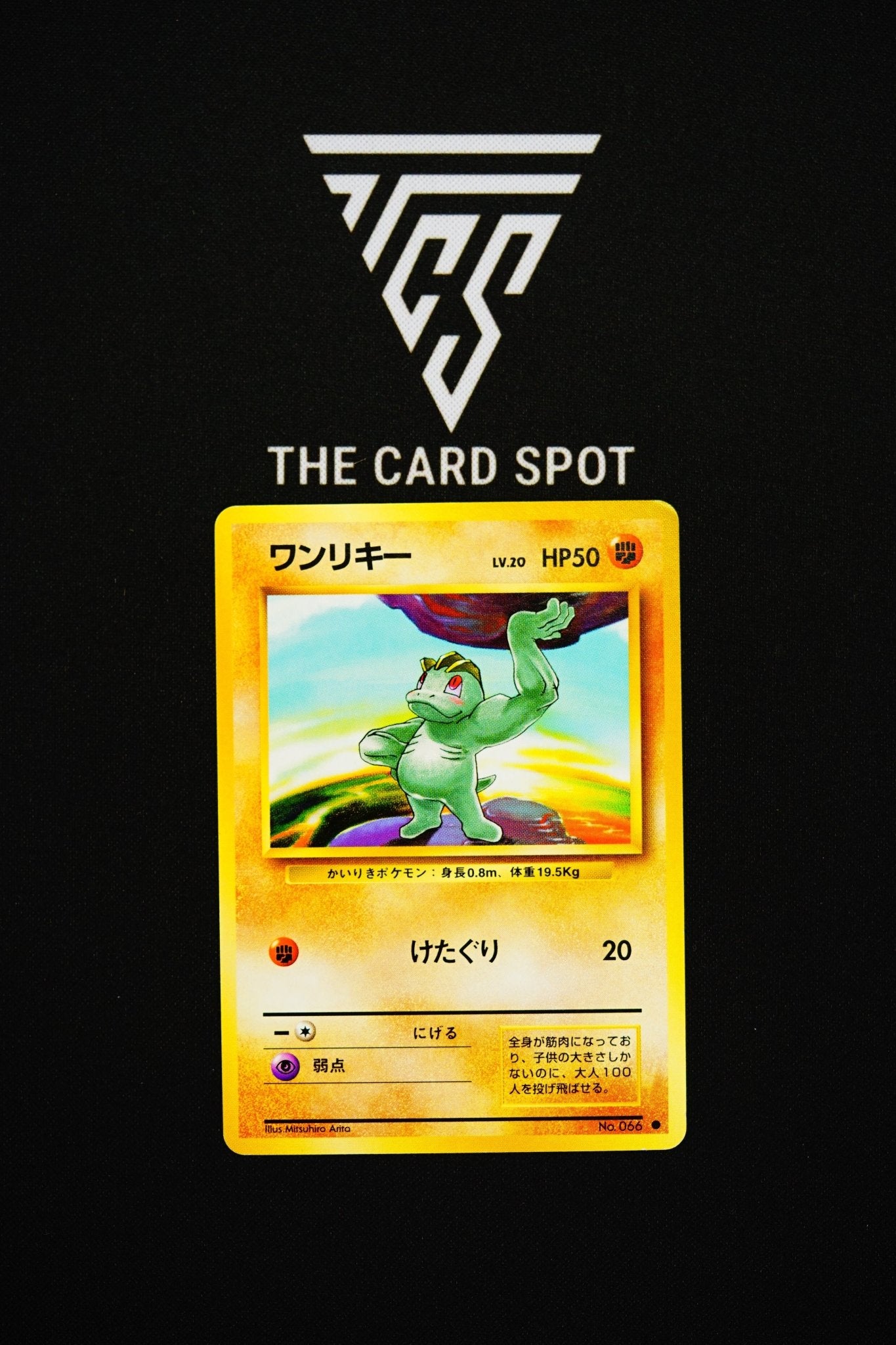 066 Machop - Pokemon TCG - THE CARD SPOT PTY LTD.