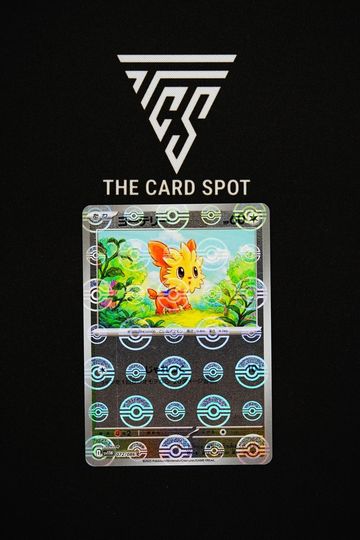 072/086 Lillipup - Pokemon TCG - THE CARD SPOT PTY LTD.