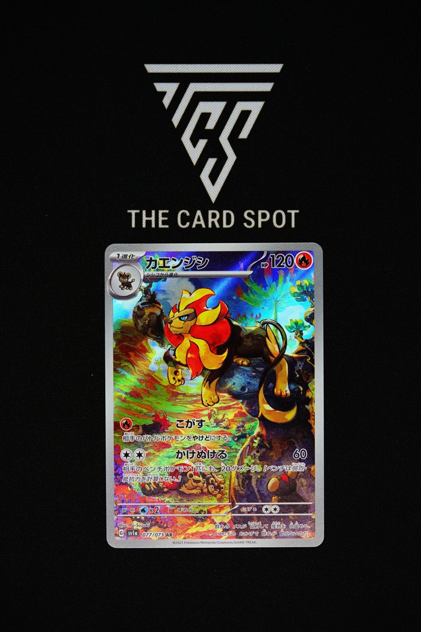 077/073 - Pyroar - Pokemon TCG  THE CARD SPOT PTY LTD.