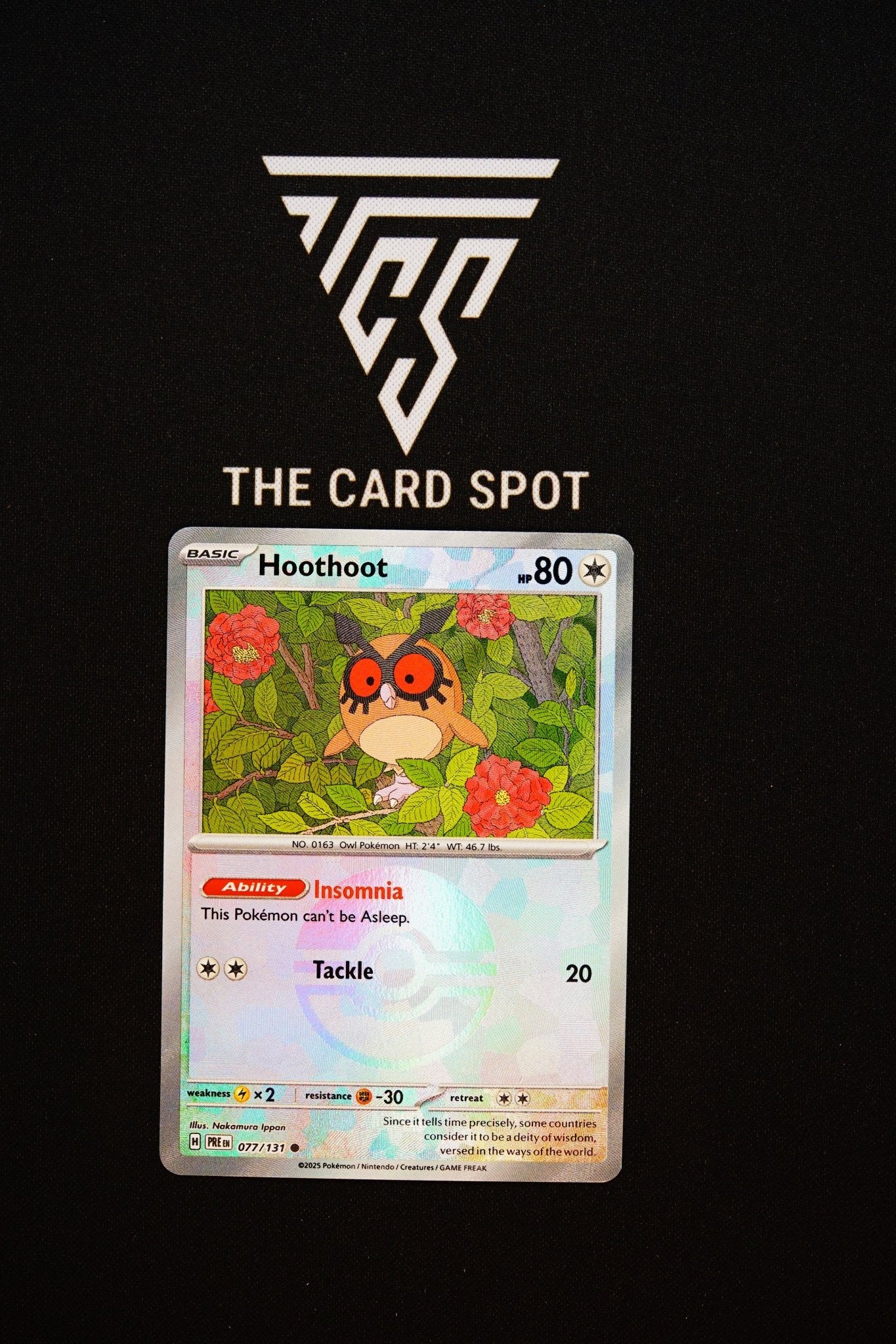 077/131 Hoothoot - Pokemon TCG - THE CARD SPOT PTY LTD.