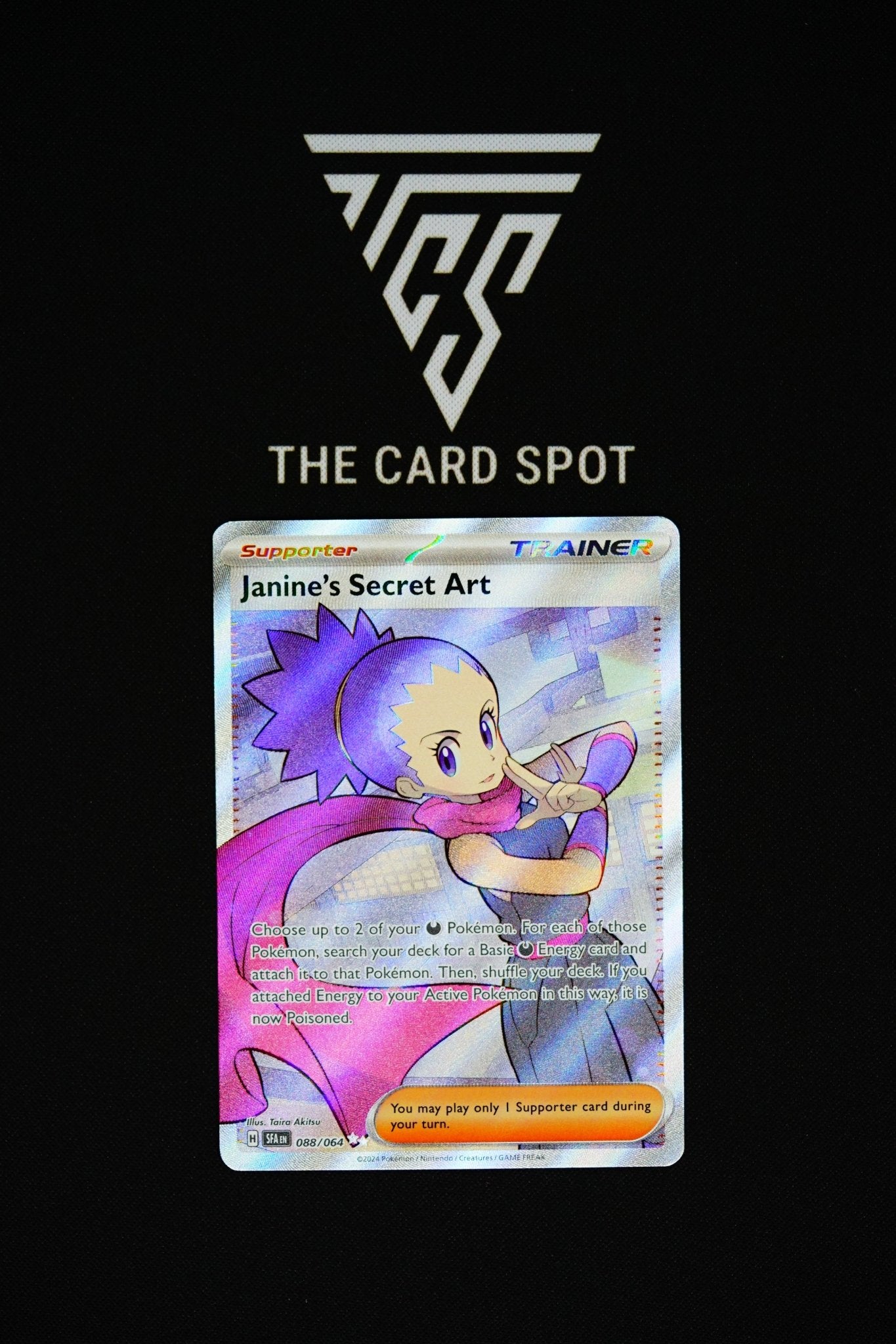 088/064 - Janine's Secret Art