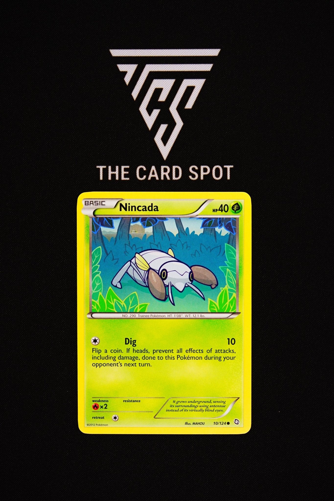 10/124 Nincada - Pokemon TCG - THE CARD SPOT PTY LTD.