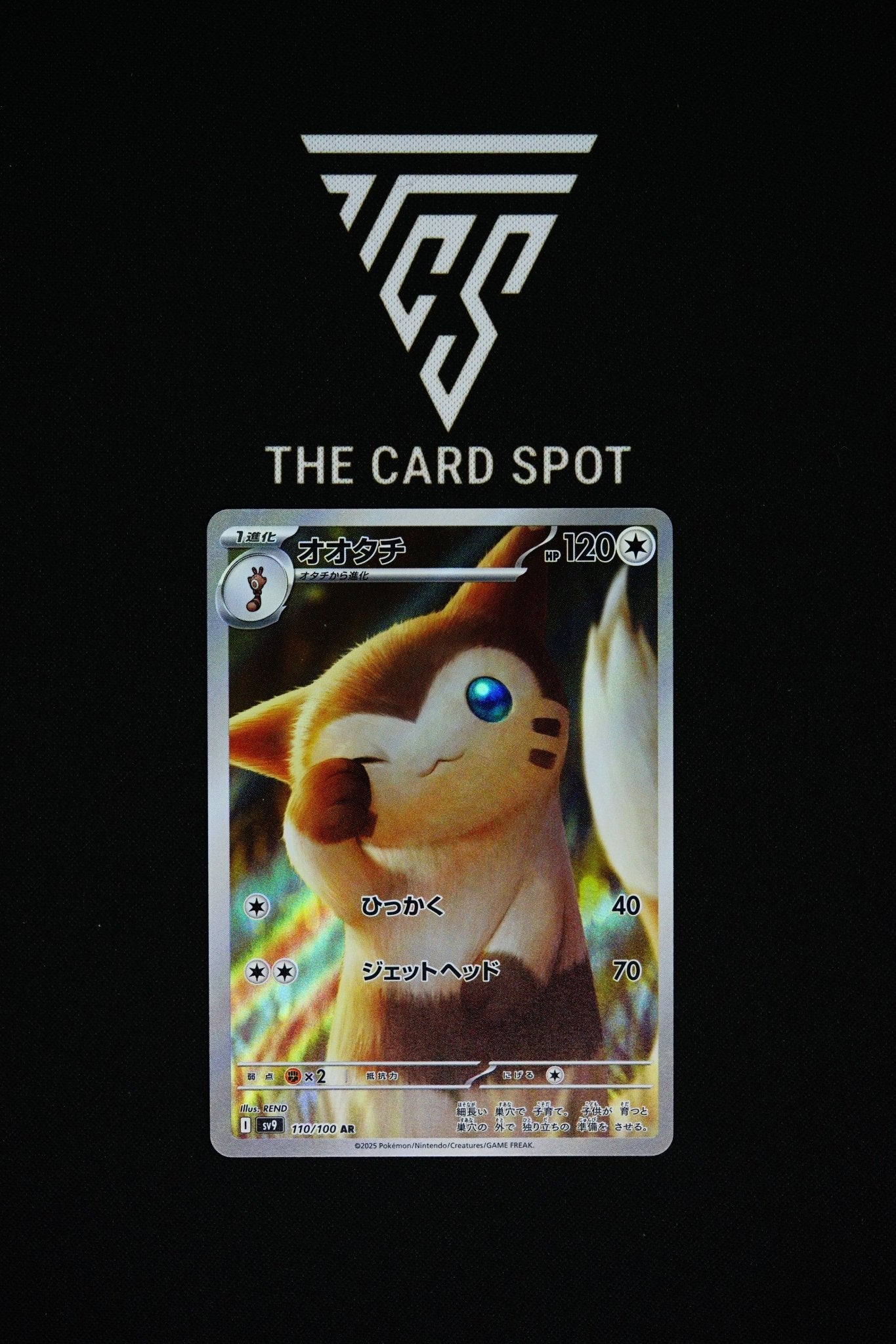 110/100 Furret
