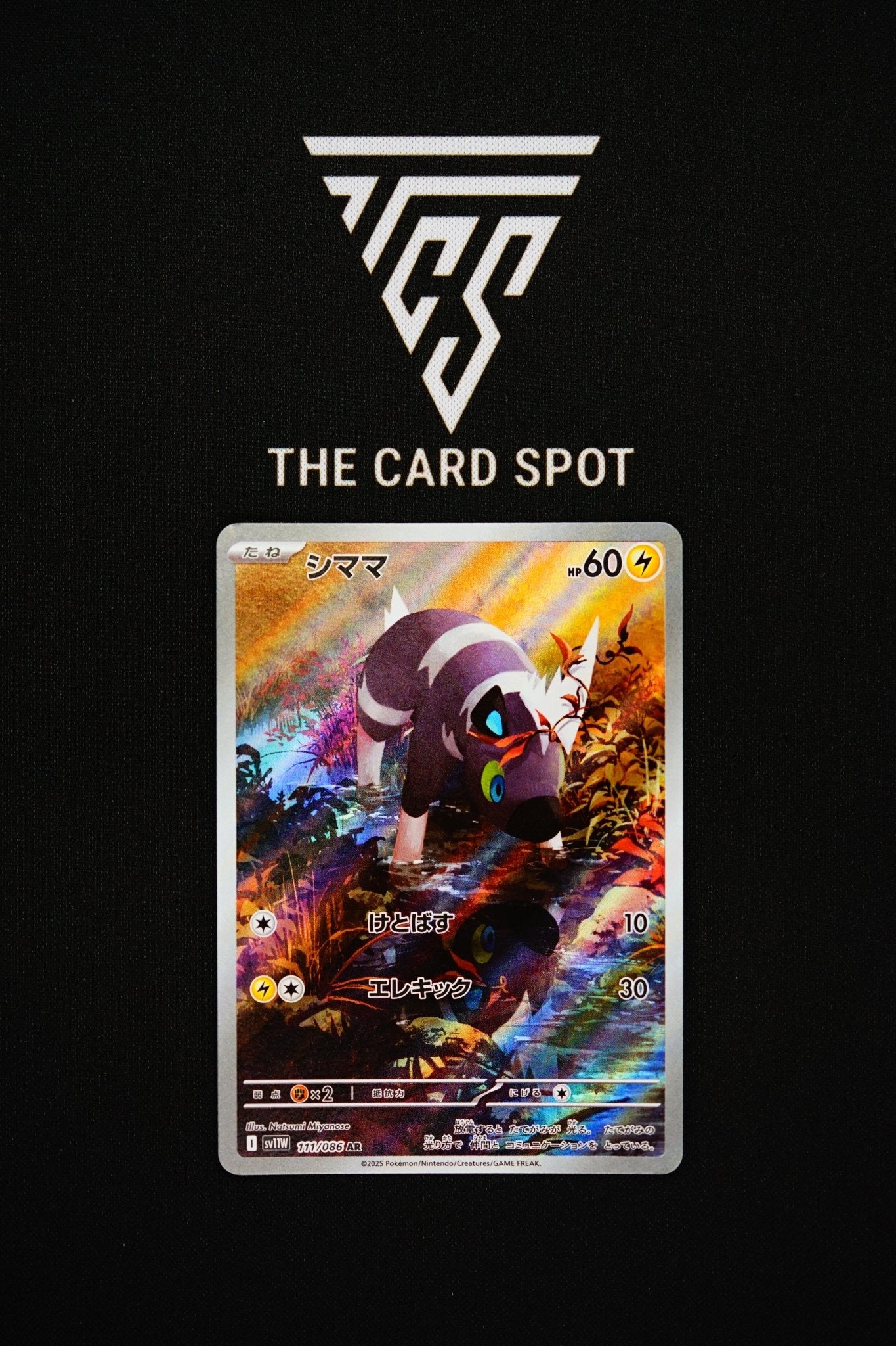 111/086 Blitzle - Pokemon TCG  THE CARD SPOT PTY LTD.