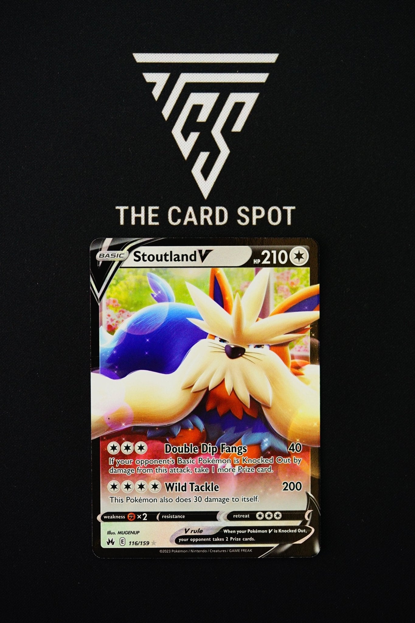 Pokemon Trading Card Game Crown Zenith Holo Rare Stoutland V #116