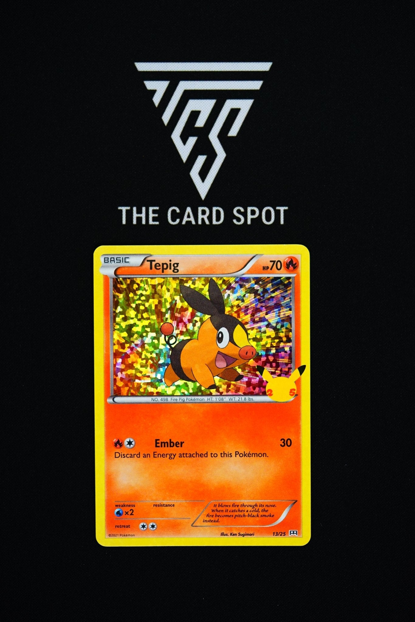 13/25 - Tepig Holo - Pokemon TCG - THE CARD SPOT PTY LTD.