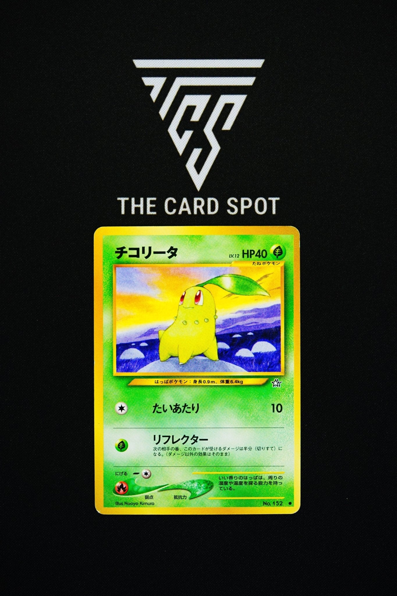 152 Chikorita