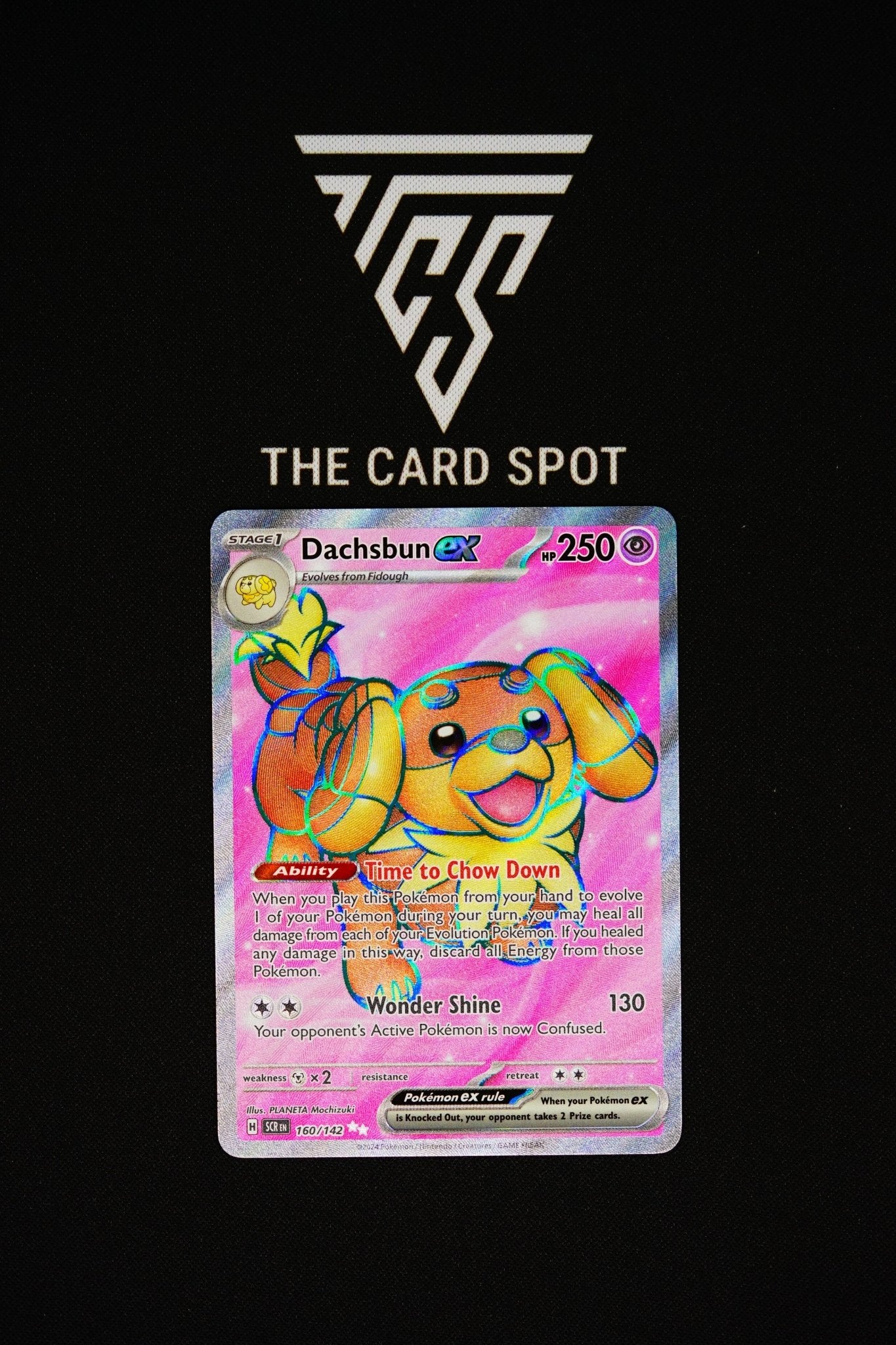 160/142 - Dachsbun ex - Pokemon TCG  THE CARD SPOT PTY LTD.