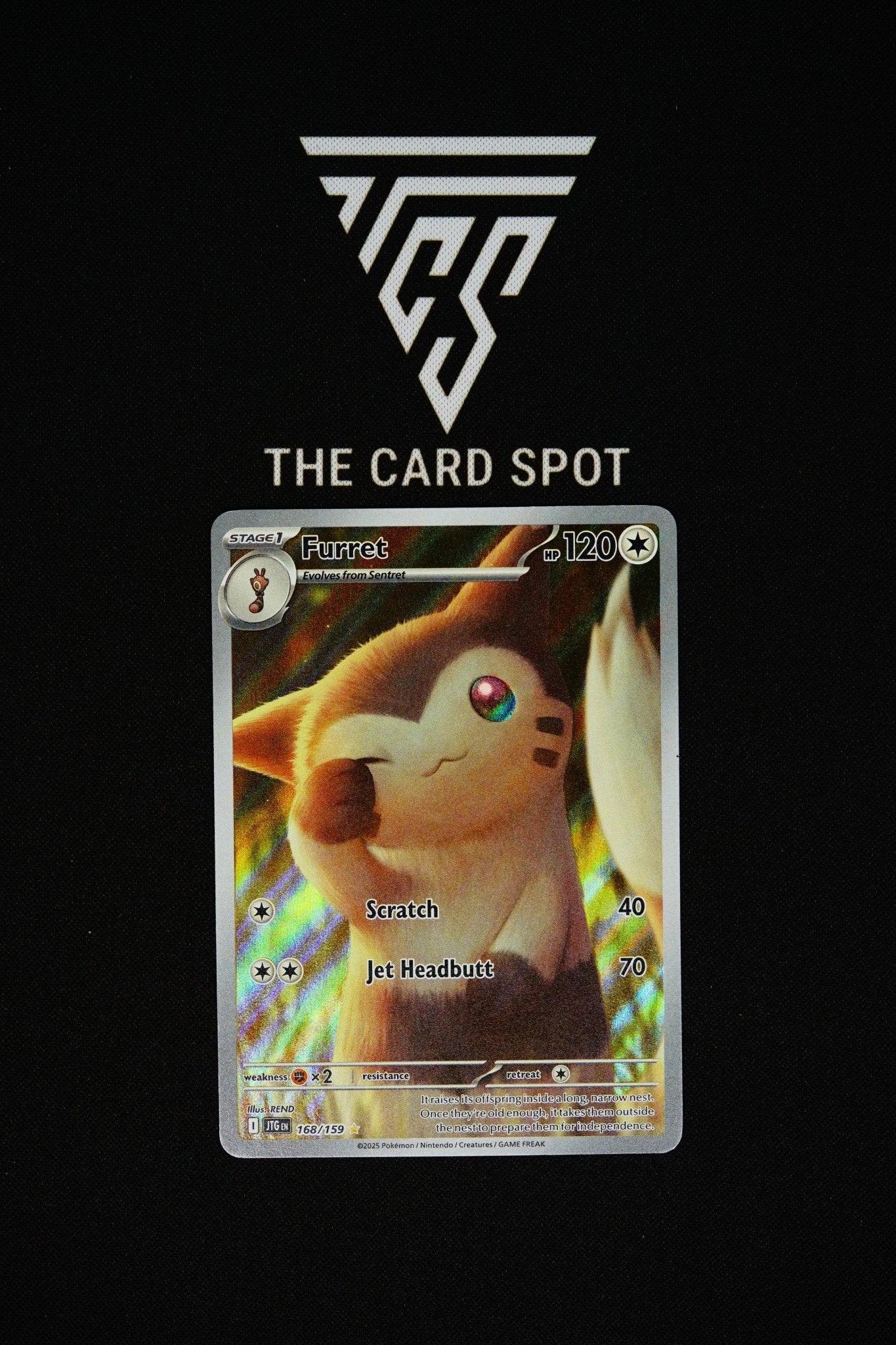 what is an ultra rare pokemon card Furret - 119/159 - Journey Together main image 1