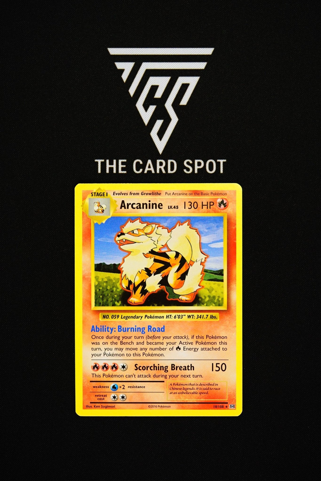 arcanine pokemon card 18/108 18/108 Arcanine