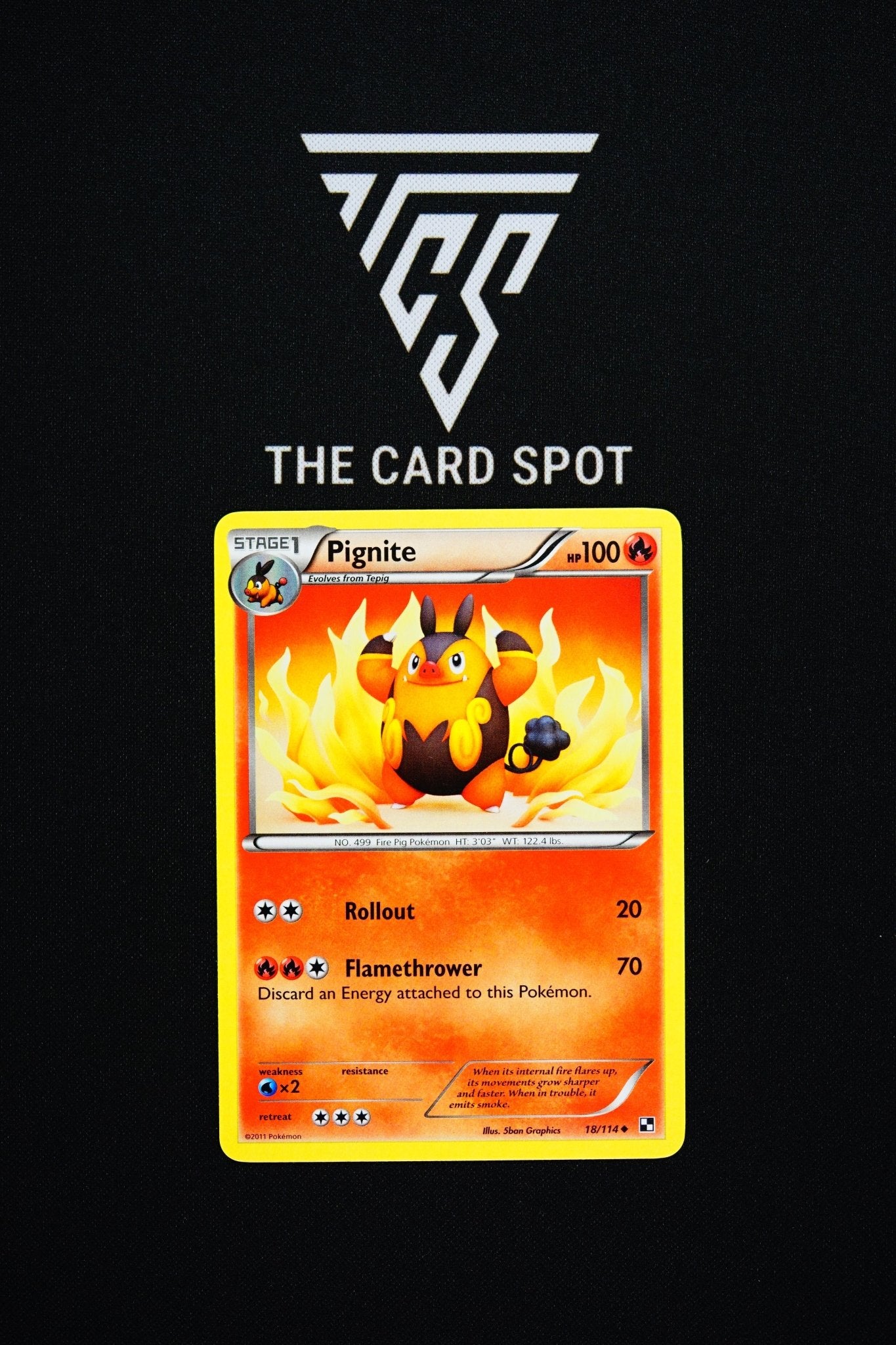 18/114 Pignite - Pokemon TCG - THE CARD SPOT PTY LTD.