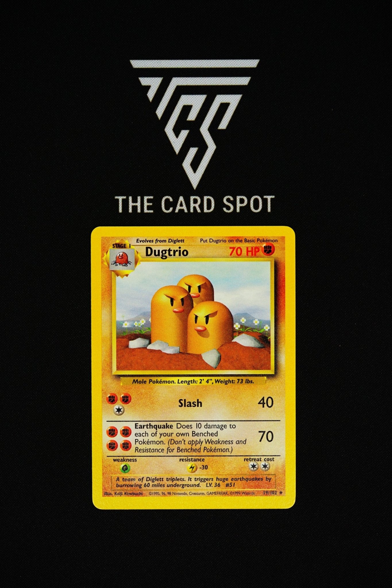 19/102 - Dugtrio