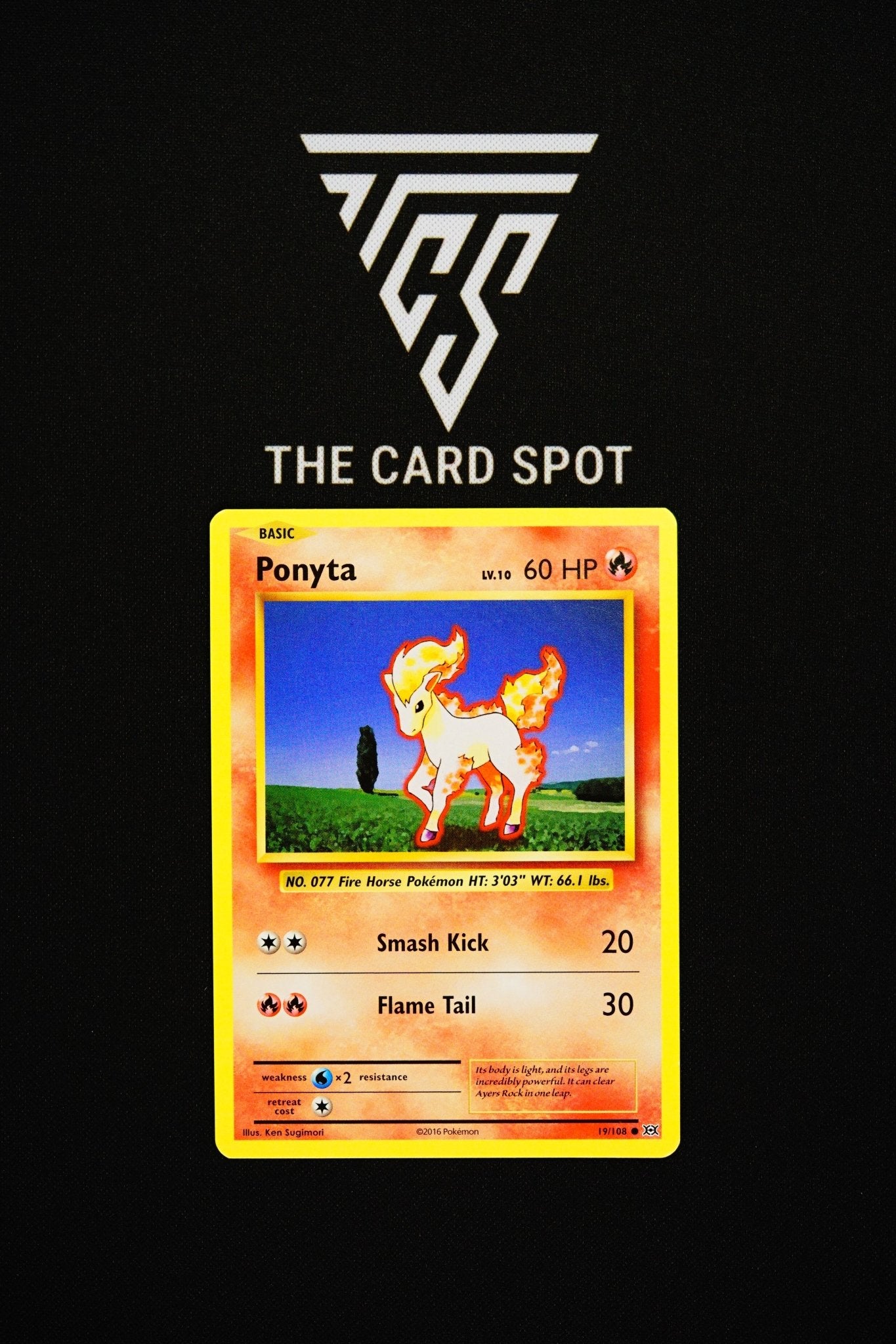 19/108 Ponyta
