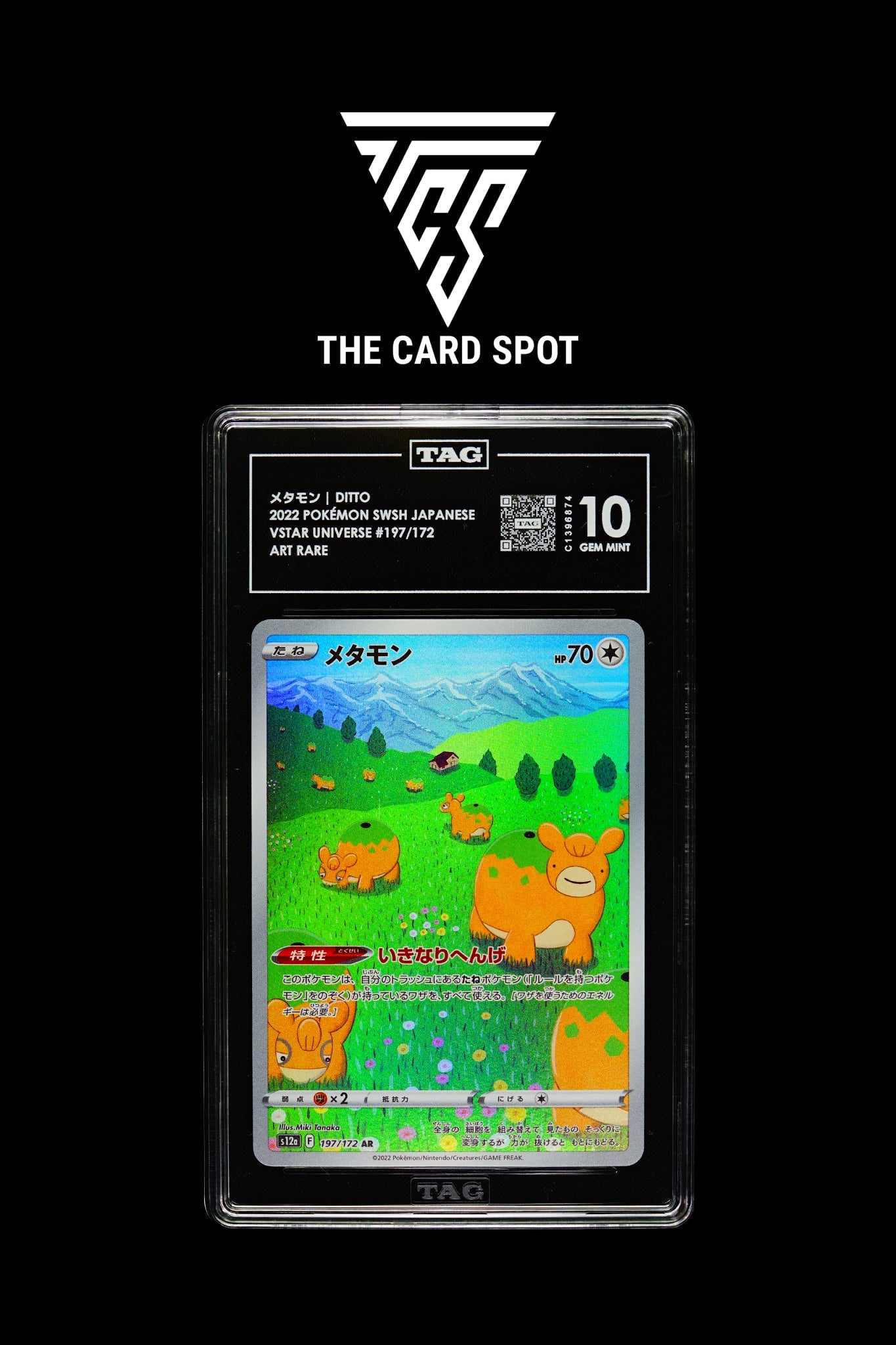 197/172 - Ditto - TAG 10 - THE CARD SPOT PTY LTD.