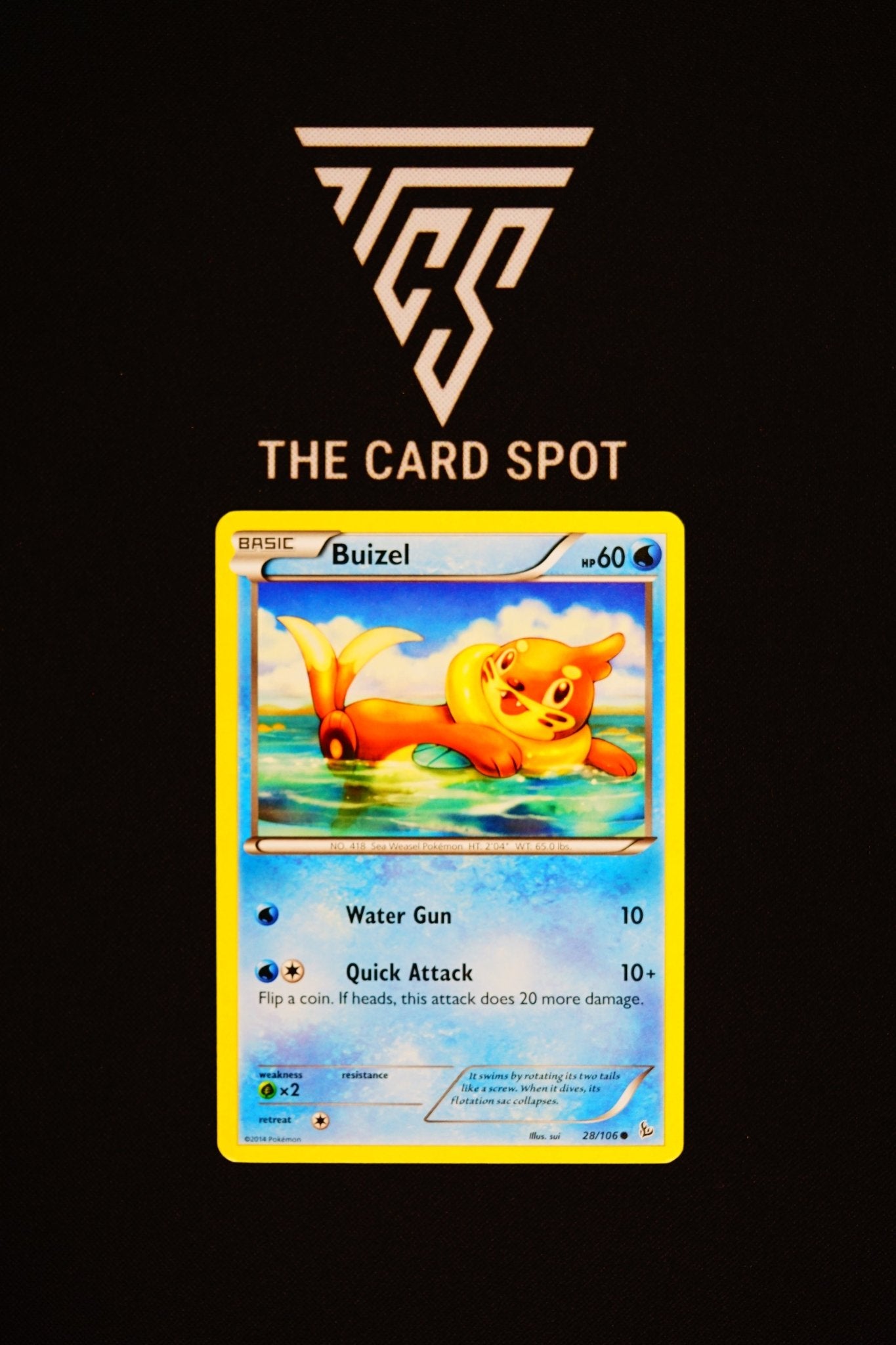 28/106 Buizel - Pokemon TCG - THE CARD SPOT PTY LTD.