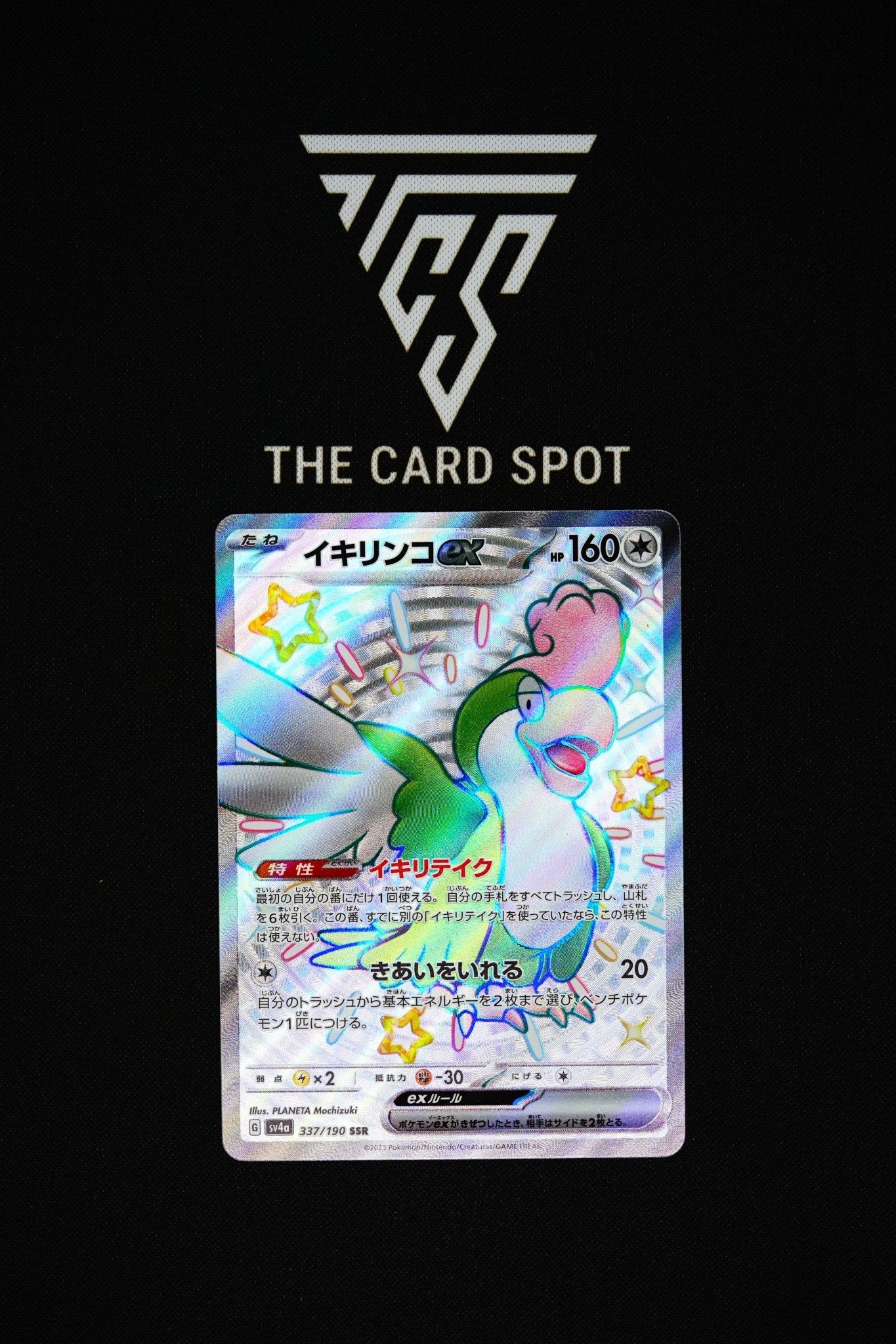 squawkabilly pokemon card Pokemon TCG Card sv8a Terastal Festival ex Traditional Chinese Card SV –  Trendygiftshop main image 0