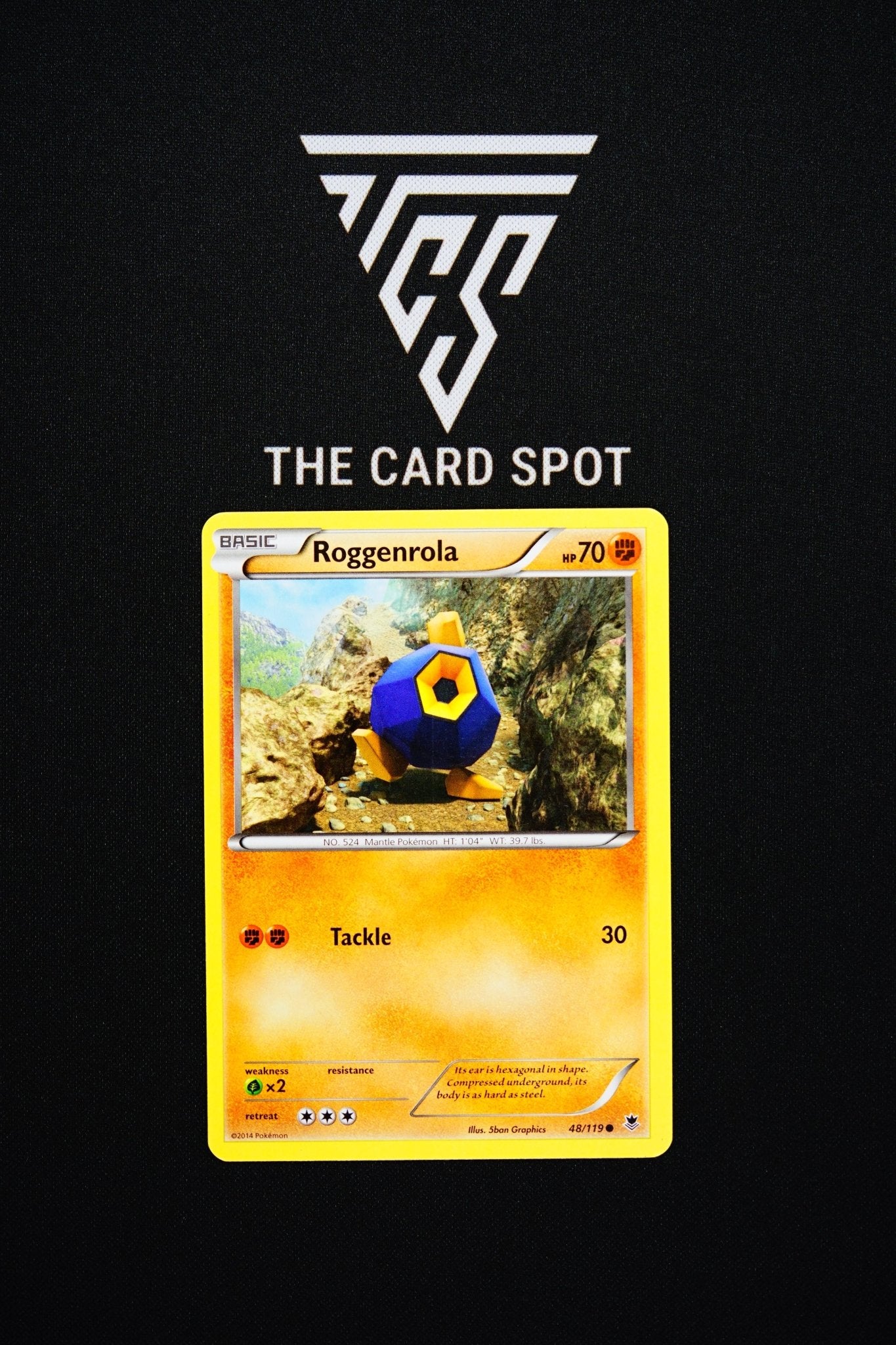 48/119 Roggenrola - Pokemon TCG - THE CARD SPOT PTY LTD.