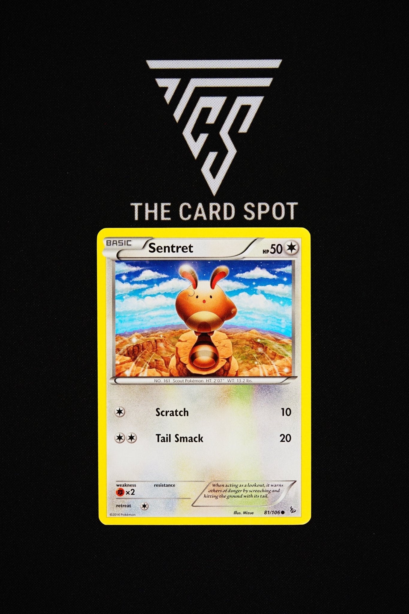 81/106 Sentret - Pokemon TCG - THE CARD SPOT PTY LTD.