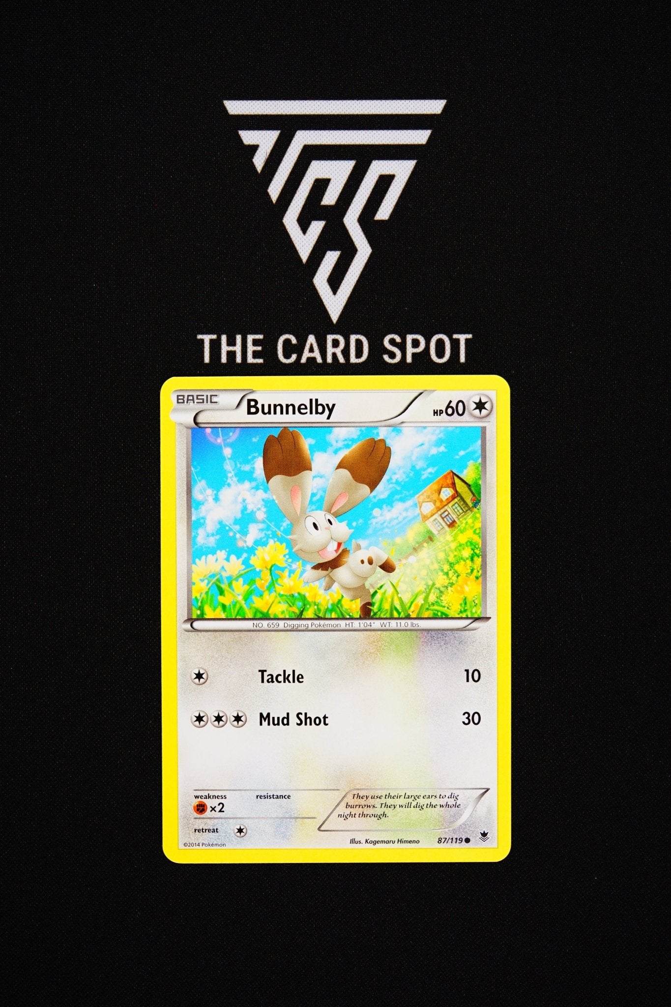 87/119 Bunnelby - Pokemon TCG - THE CARD SPOT PTY LTD.