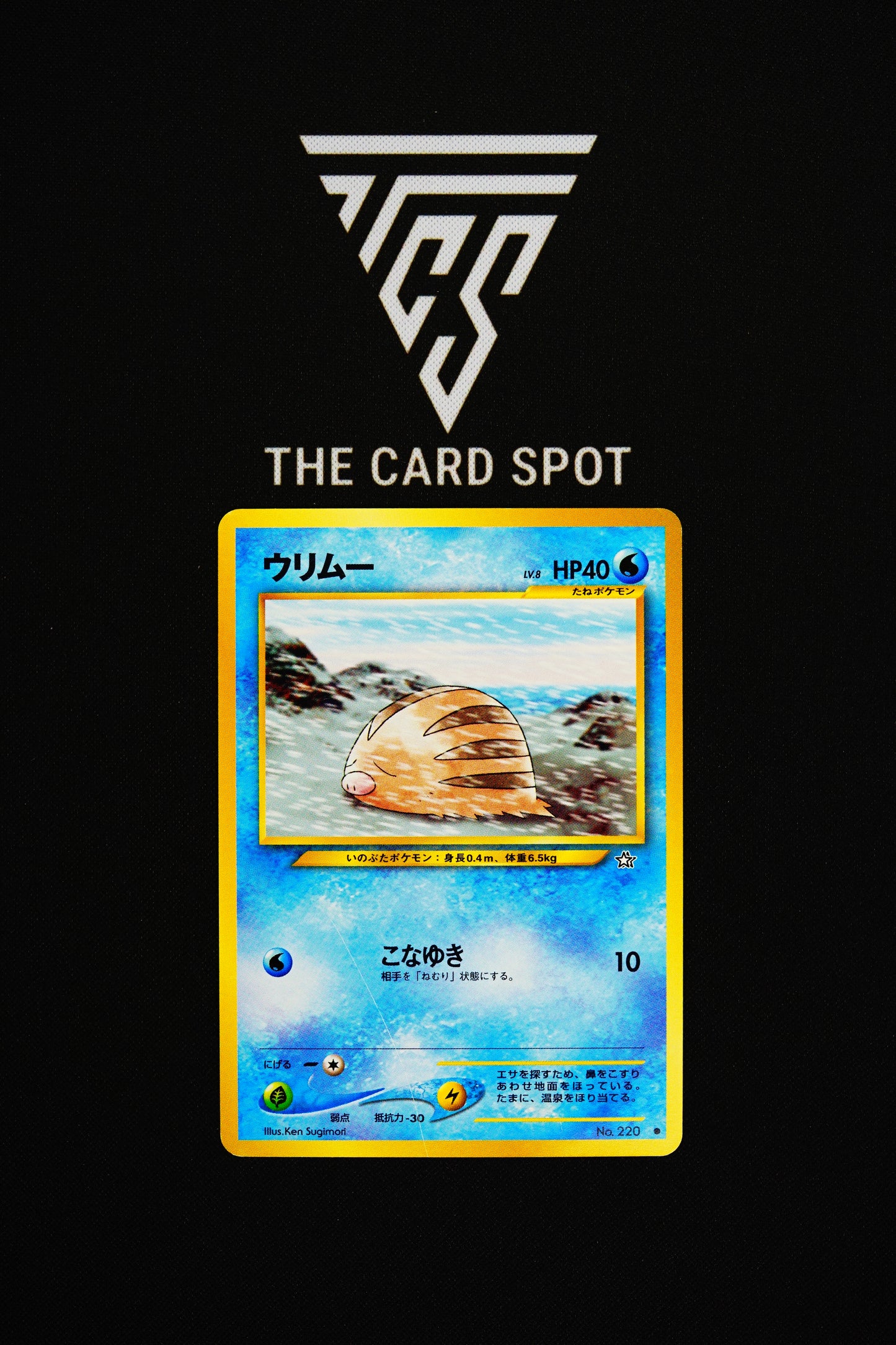 No.220 Swinub - Pokemon TCG