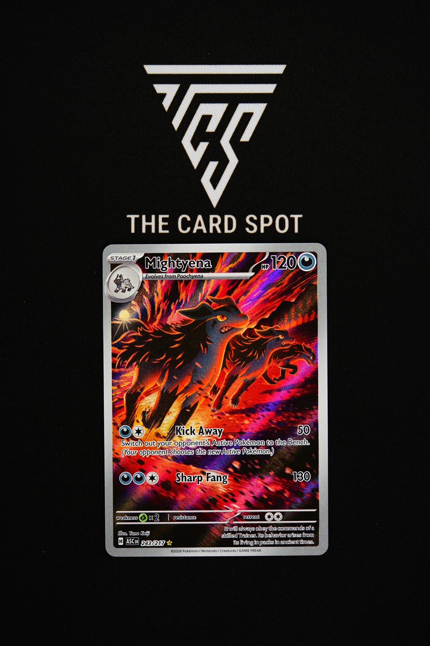 243/217 Mightyena - Pokemon TCG