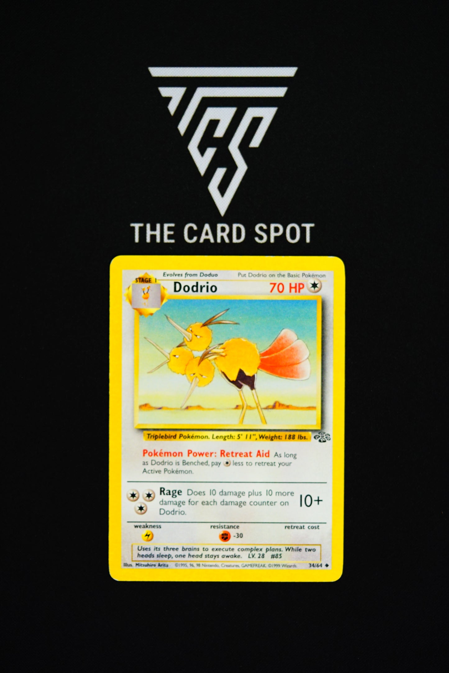 34/64 Dodrio - Pokemon TCG