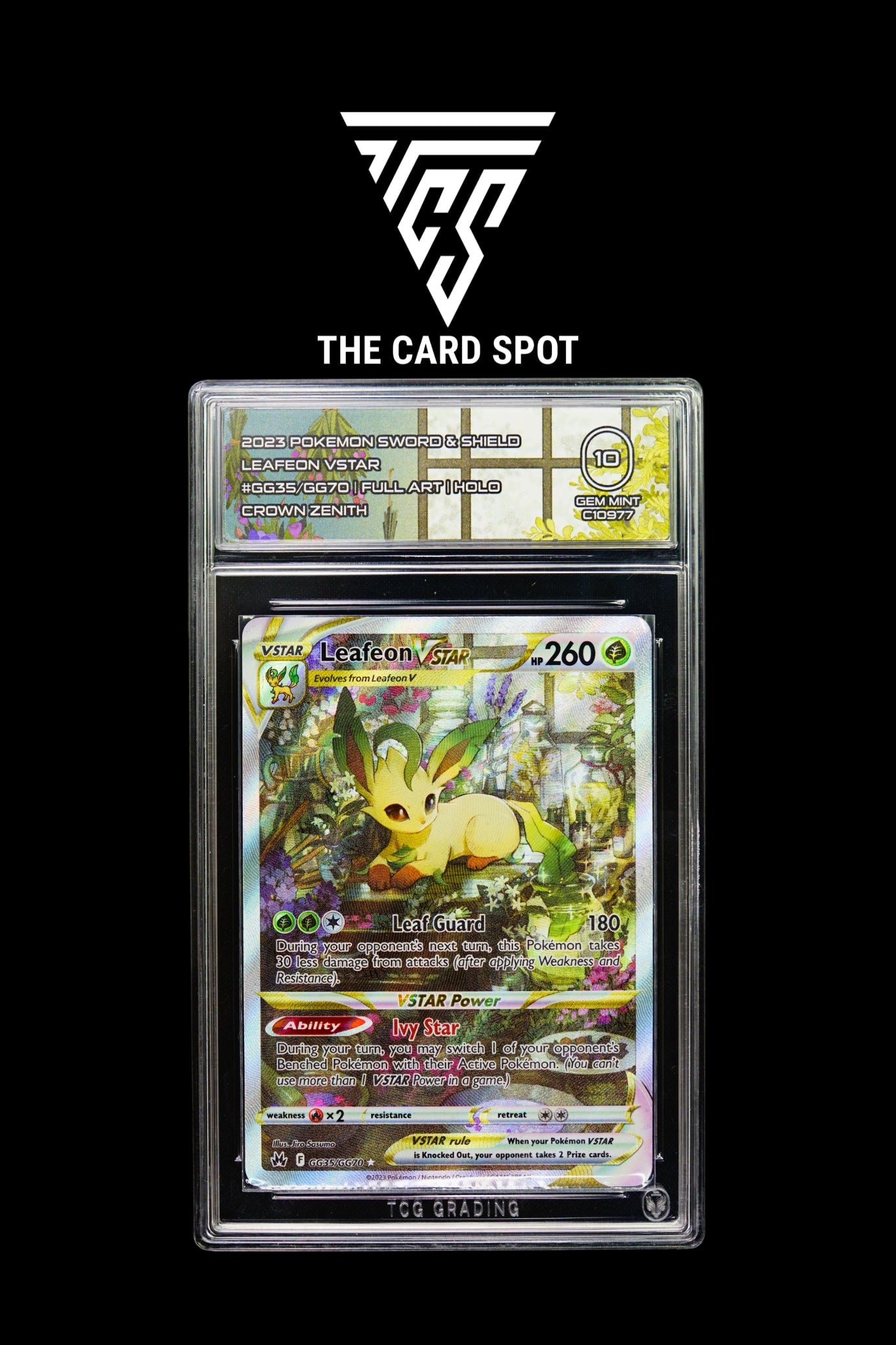 GG35/GG70 TCG 10 - Pokemon TCG
