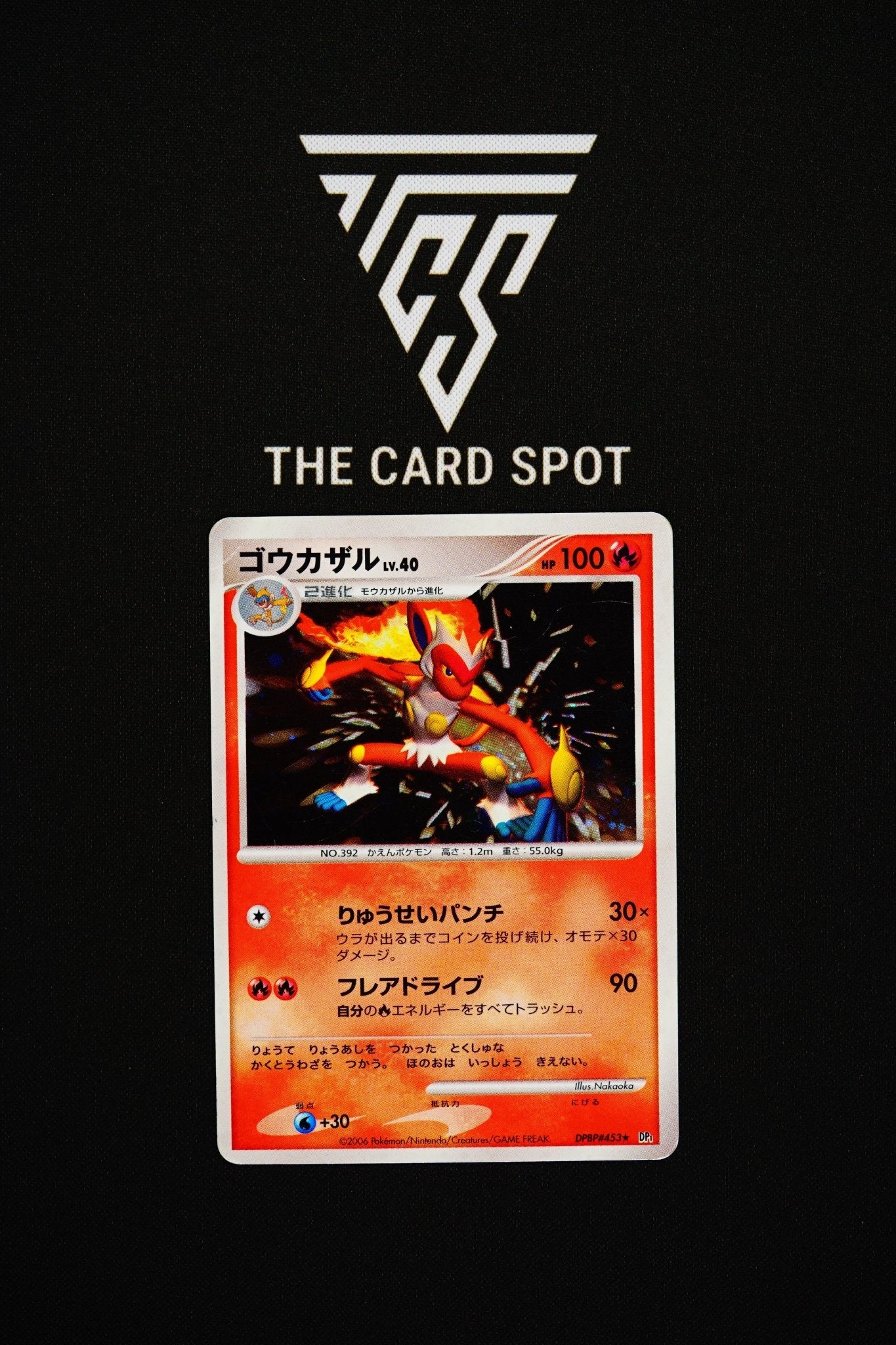 DPBP#453 - Infernape