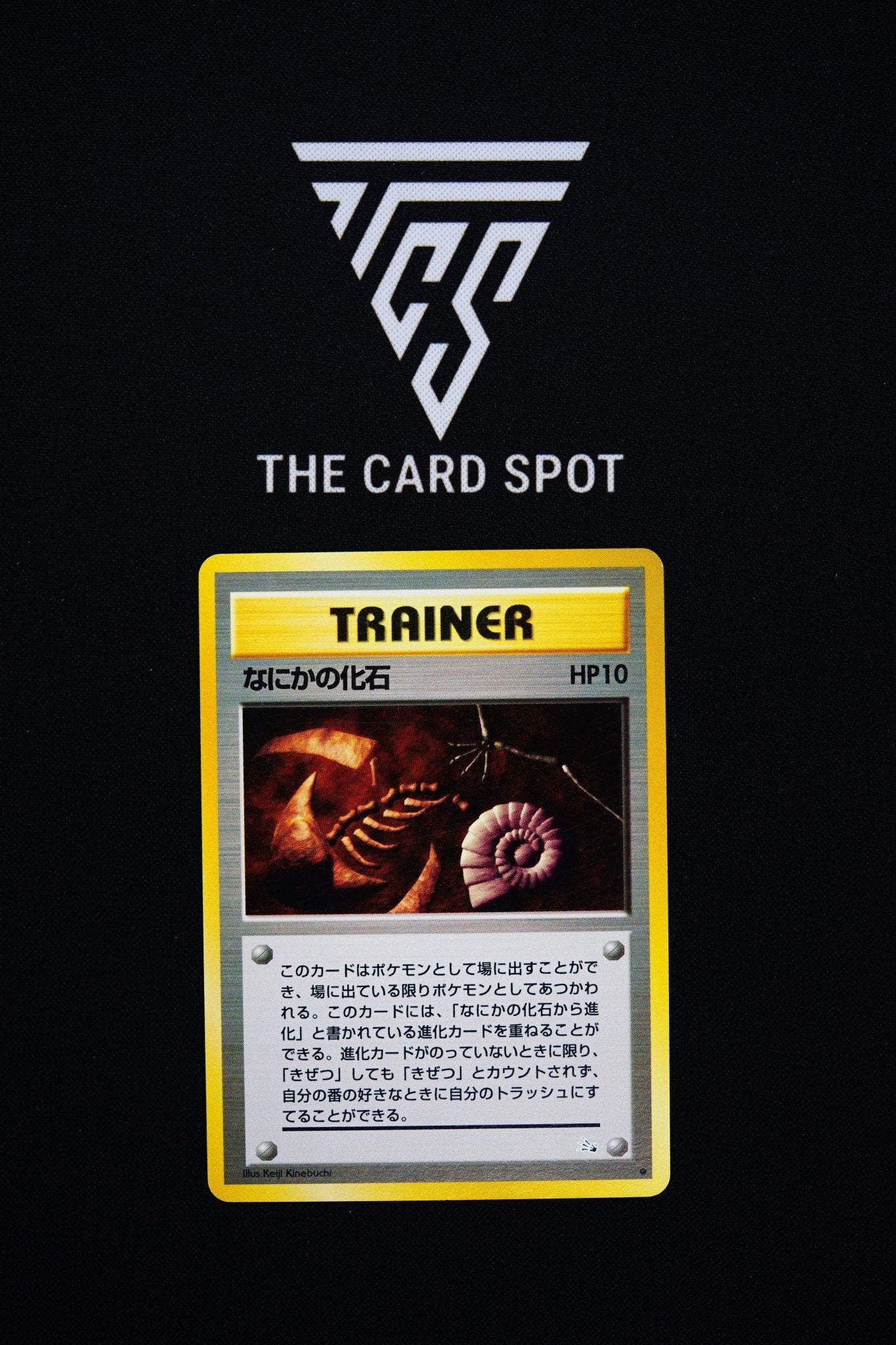 Mysterious Fossil Trainer - Pokemon TCG - THE CARD SPOT PTY LTD.