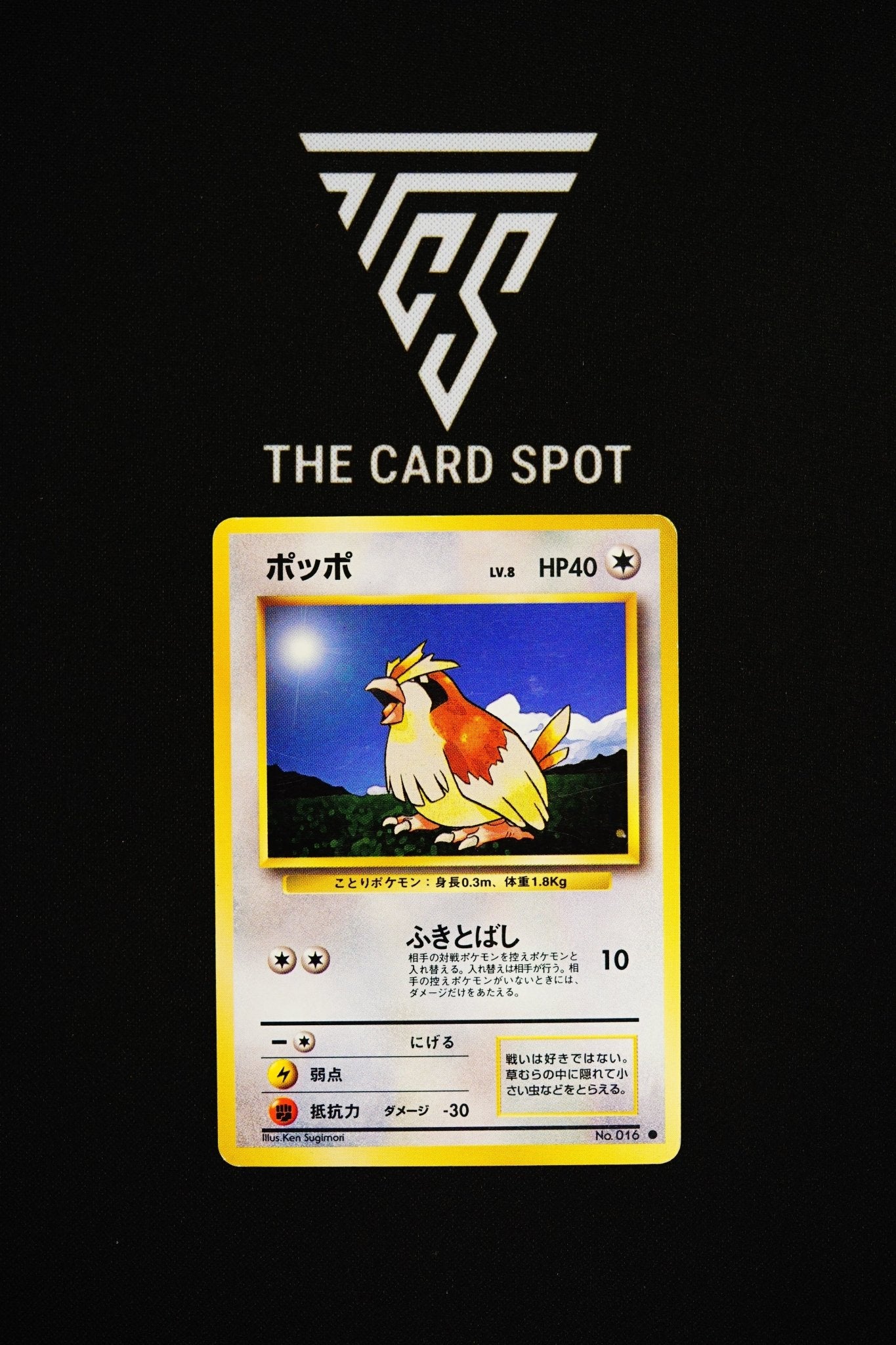 No.016 Pidgey - Pokemon TCG - THE CARD SPOT PTY LTD.