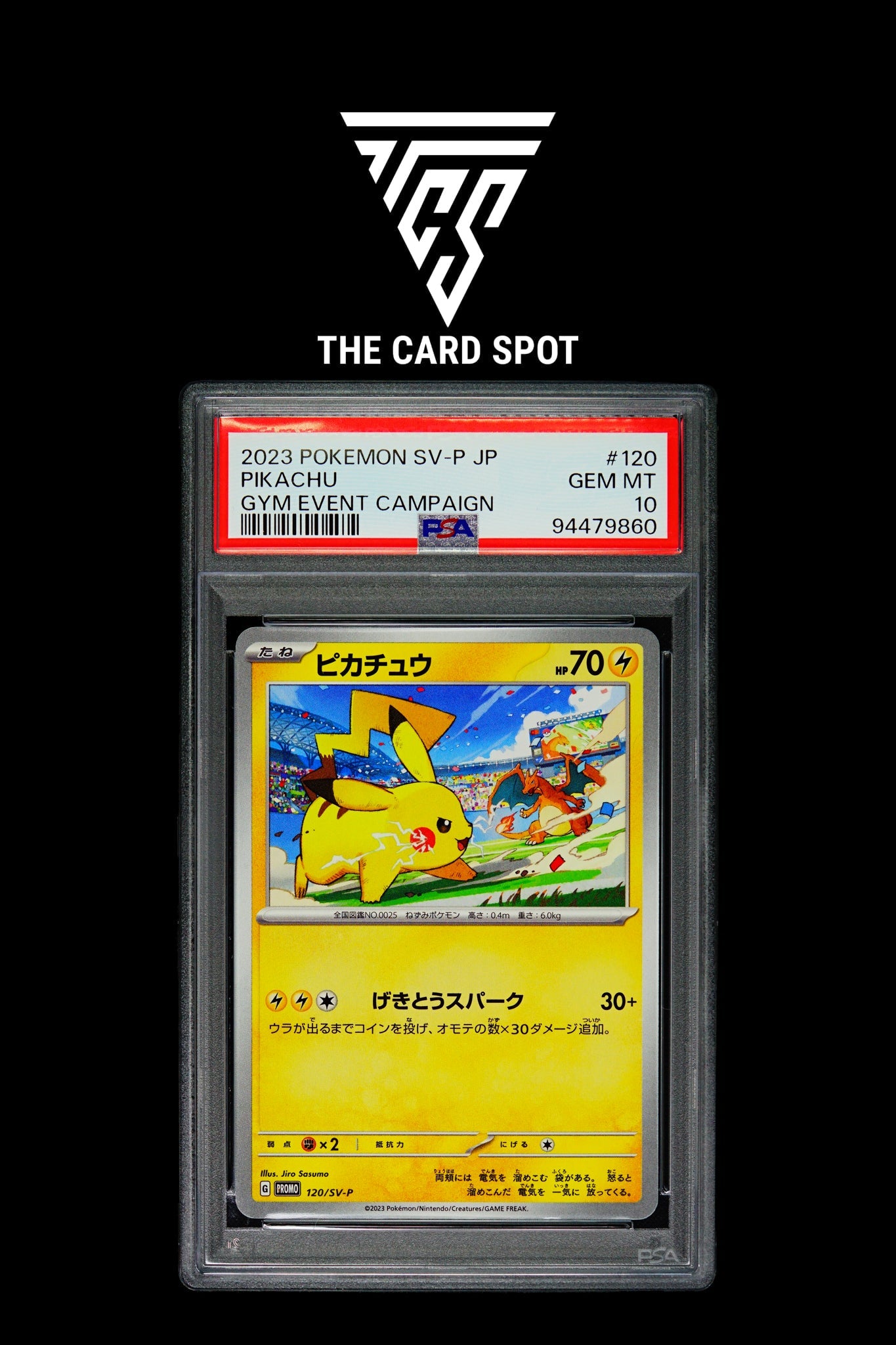 PSA 10 Pikachu Gym Event Campaign