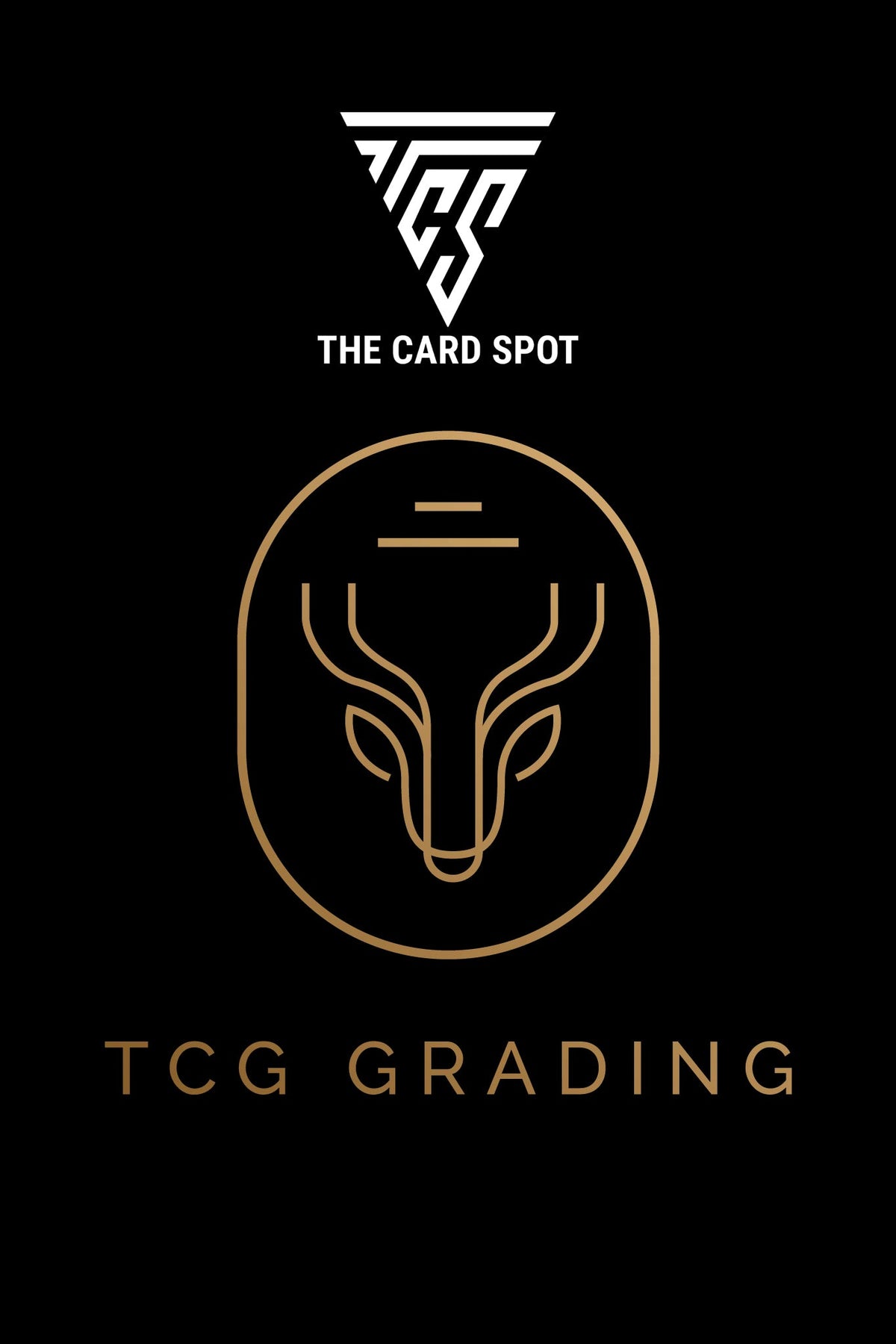 20+ Express - TCG Grading