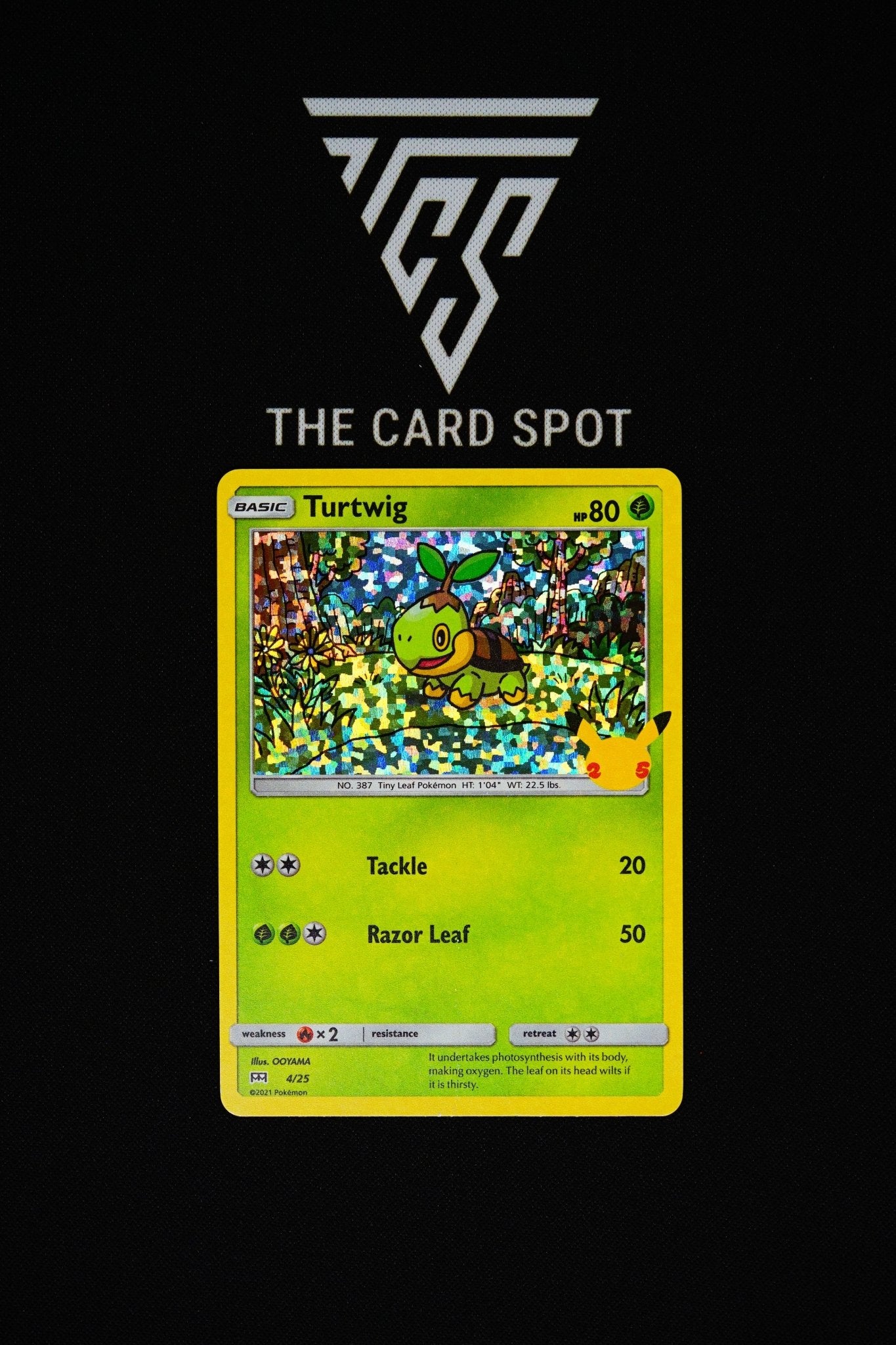 4/25 - Turtwig (Holo)- Pokemon TCG