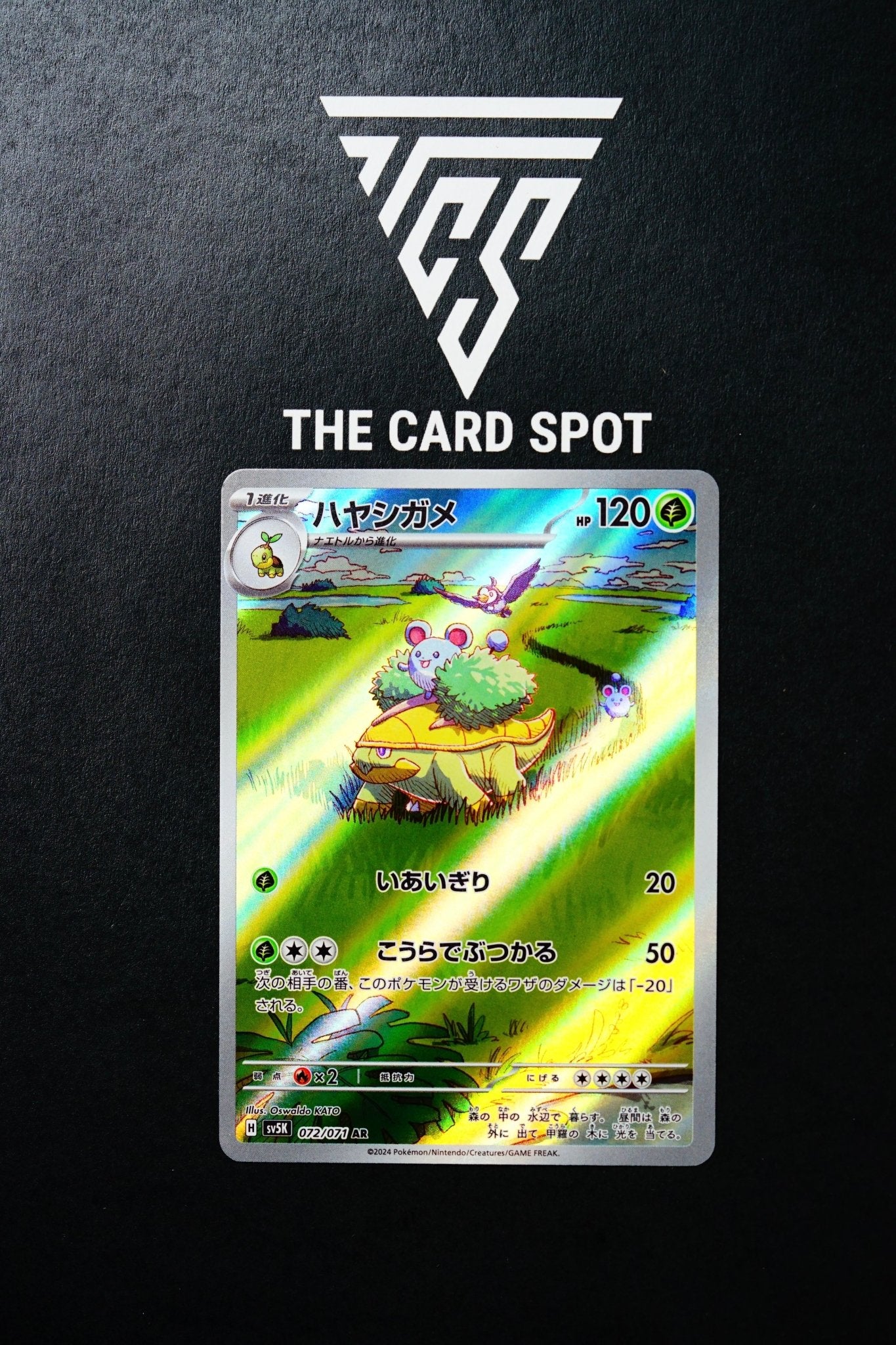 Grotle Temporal Forces Japanese Pokemon Card Grotle AR 072/071 SV5K Wild Force (Scarlet & Violet Era, Near Mint) Full Art Temporal Forces Grotle Temporal Forces Japanese Pokemon Card Grotle AR 072/071 SV5K Wild Force (Scarlet & Violet Era, Near Mint) Full Art Temporal Forces