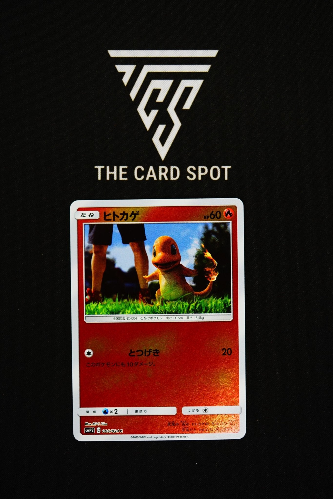 005/024 - Charmander - Pokemon TCG - THE CARD SPOT PTY LTD.