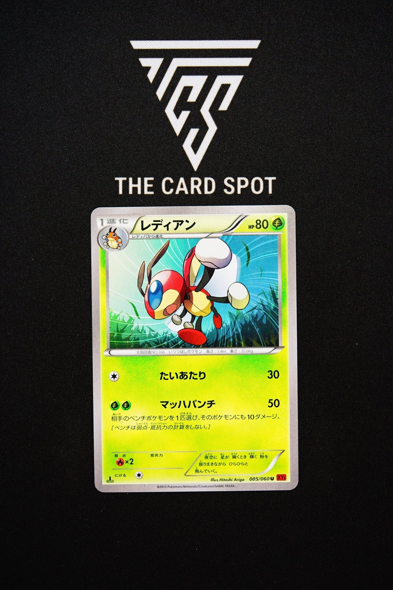 005/060 Ledian - Pokemon TCG - THE CARD SPOT PTY LTD.