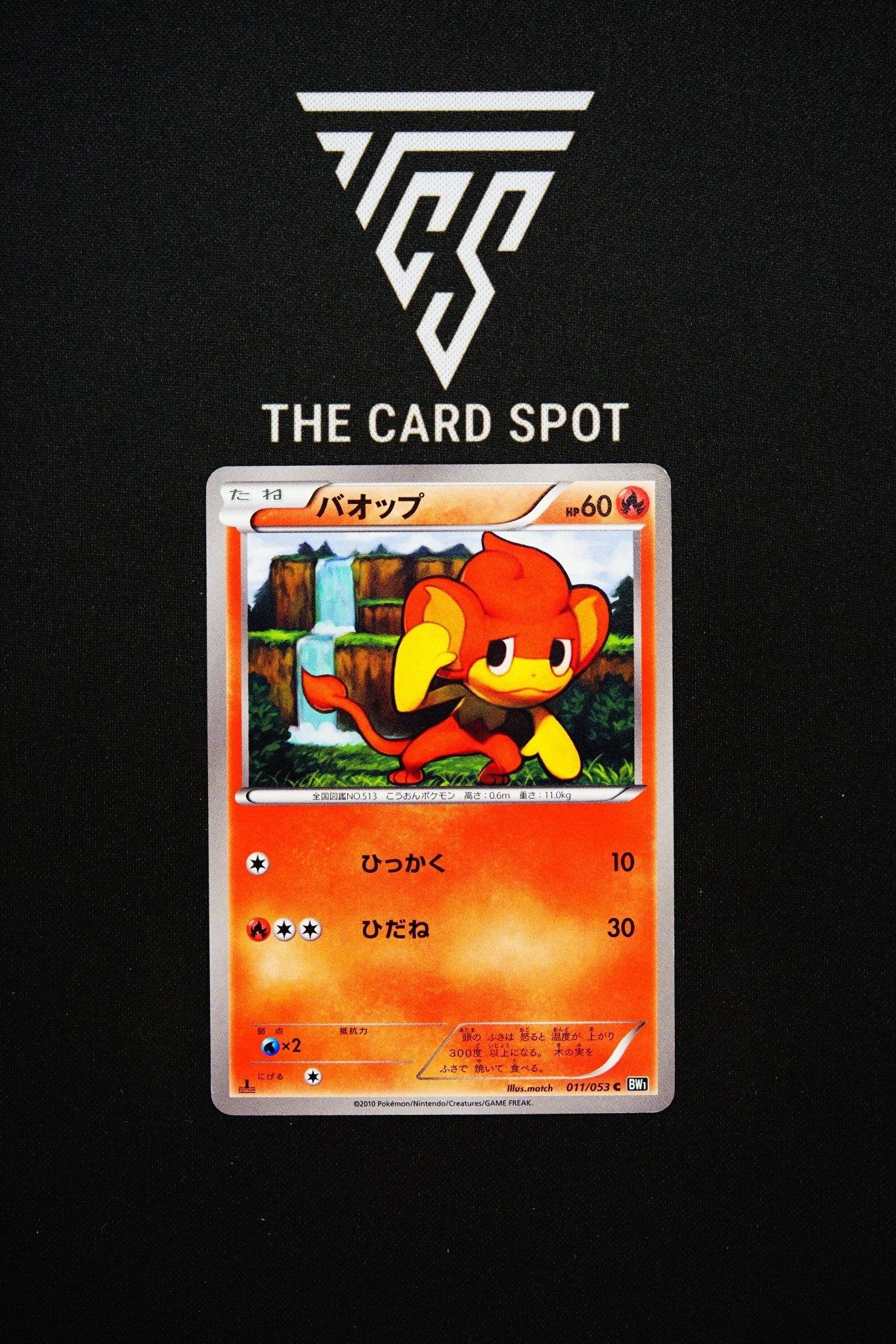 011/053 Pansear - Pokemon TCG - THE CARD SPOT PTY LTD.