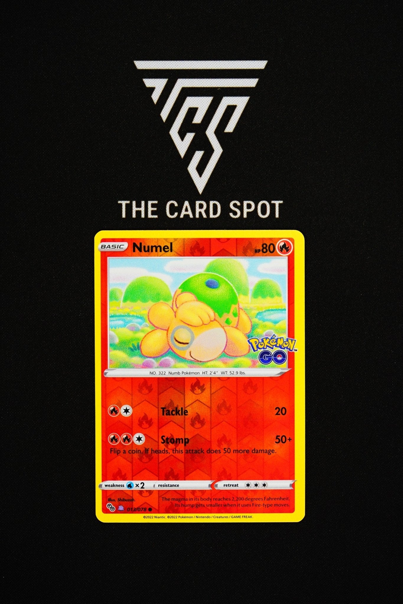 013/078 Numel [Ditto] - Pokemon TCG - THE CARD SPOT PTY LTD.