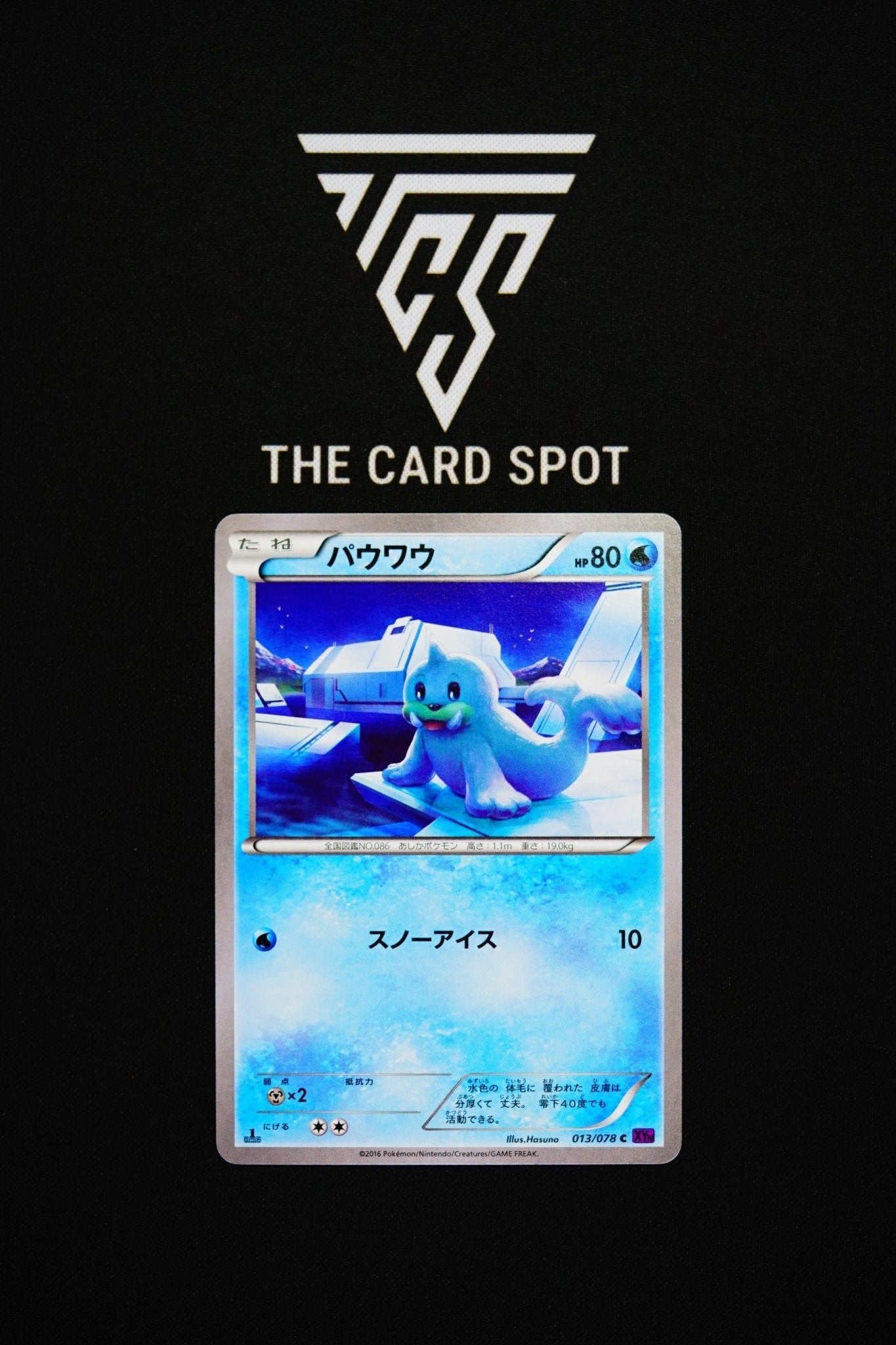 013/078 Seel - Pokemon TCG - THE CARD SPOT PTY LTD.