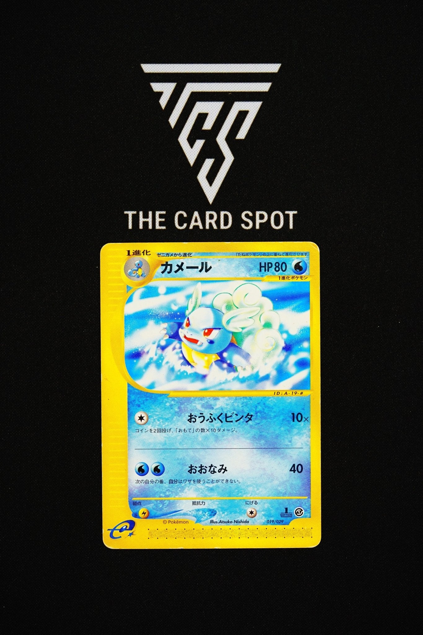 019/029 Wartortle - Pokemon TCG - THE CARD SPOT PTY LTD.