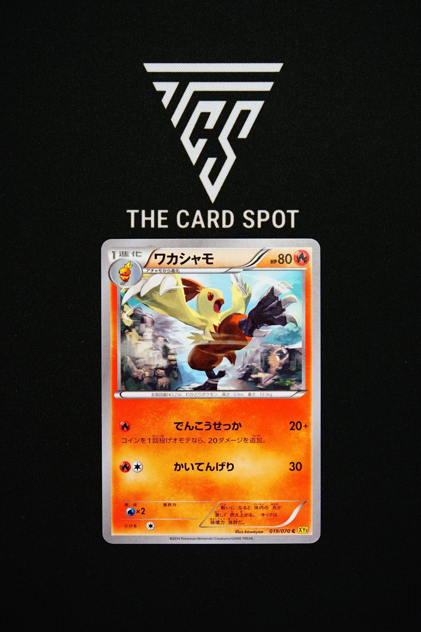 019/070 - Combusken - Pokemon TCG - THE CARD SPOT PTY LTD.
