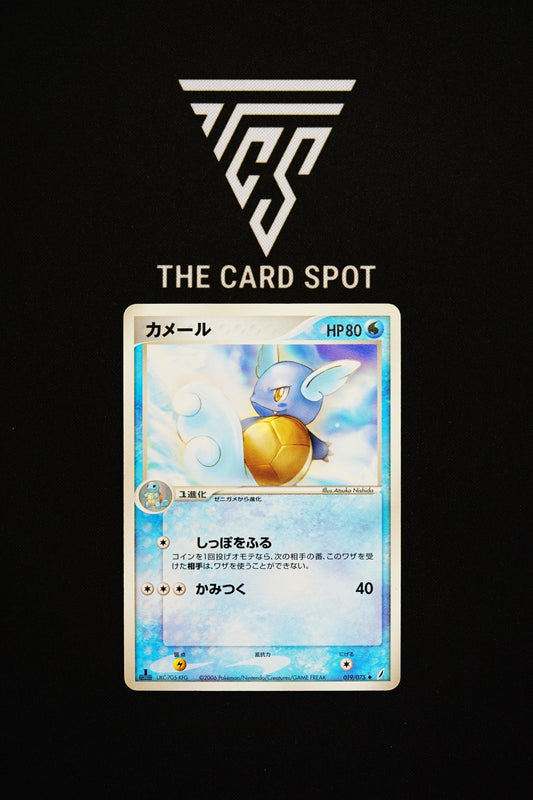 019/075 - 1st Edition Wartortle - Pokemon TCG - THE CARD SPOT PTY LTD.