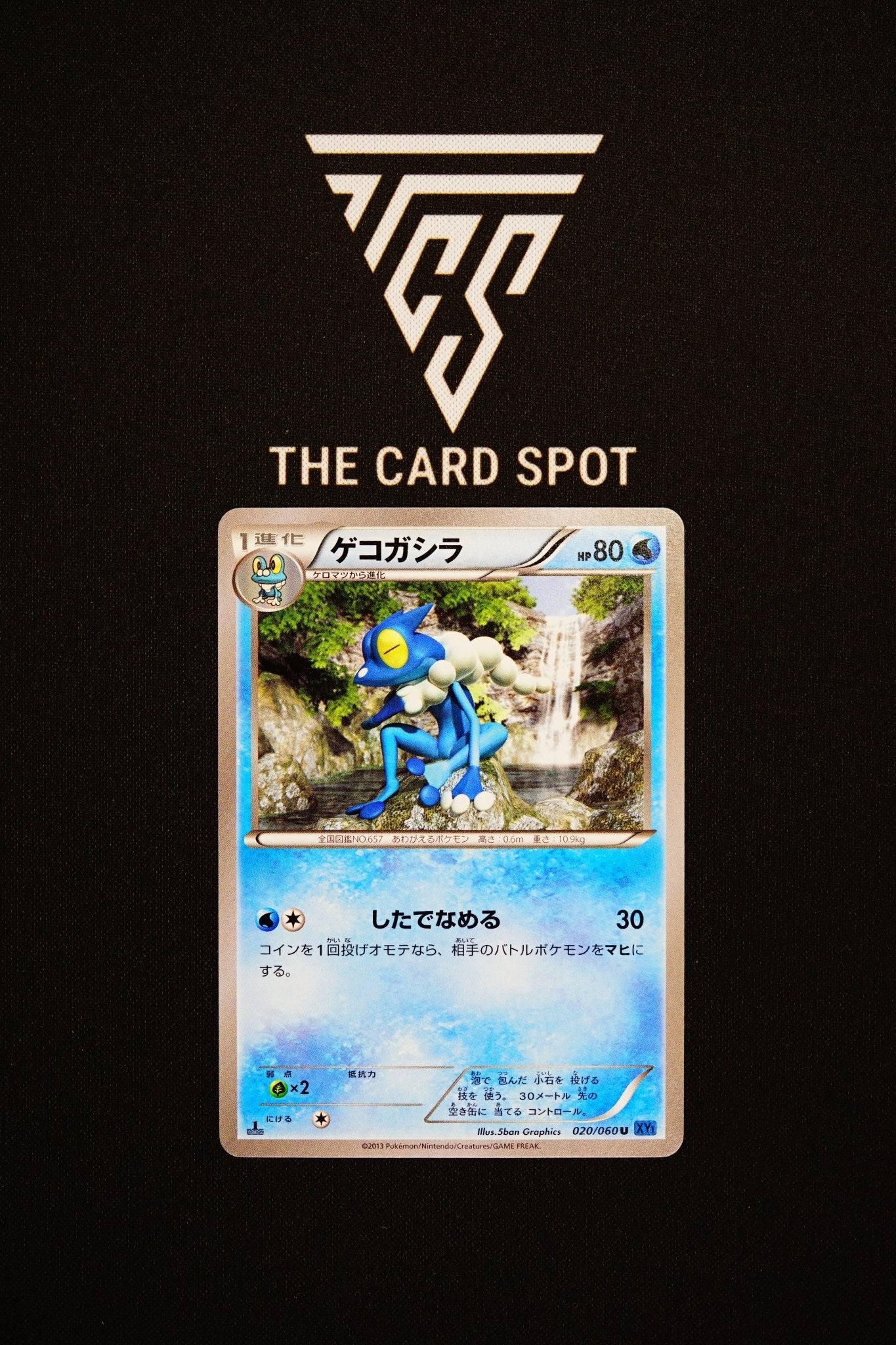 020/060 Frogadier - Pokemon TCG - THE CARD SPOT PTY LTD.