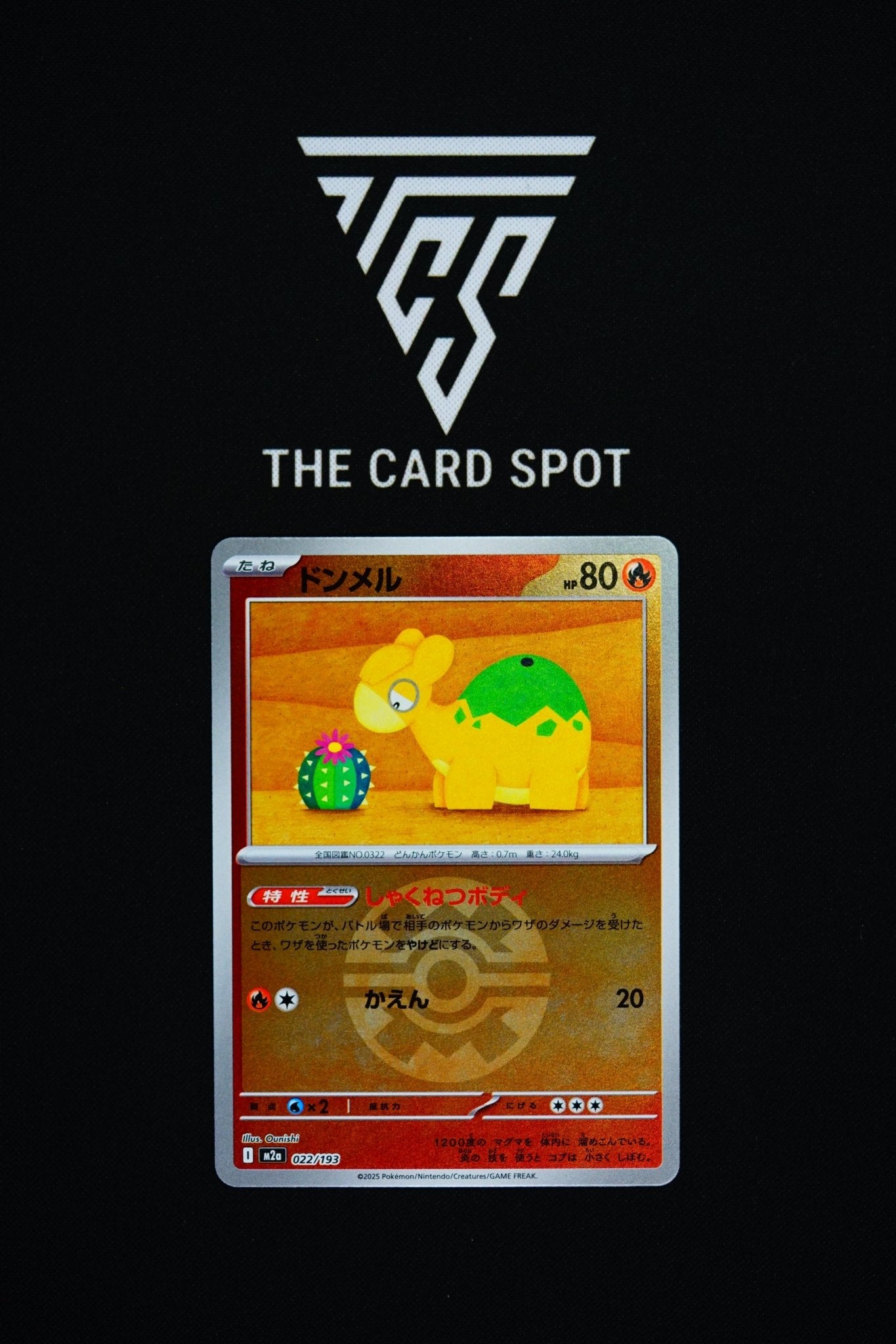 022/193 Numel - Pokemon TCG - THE CARD SPOT PTY LTD.